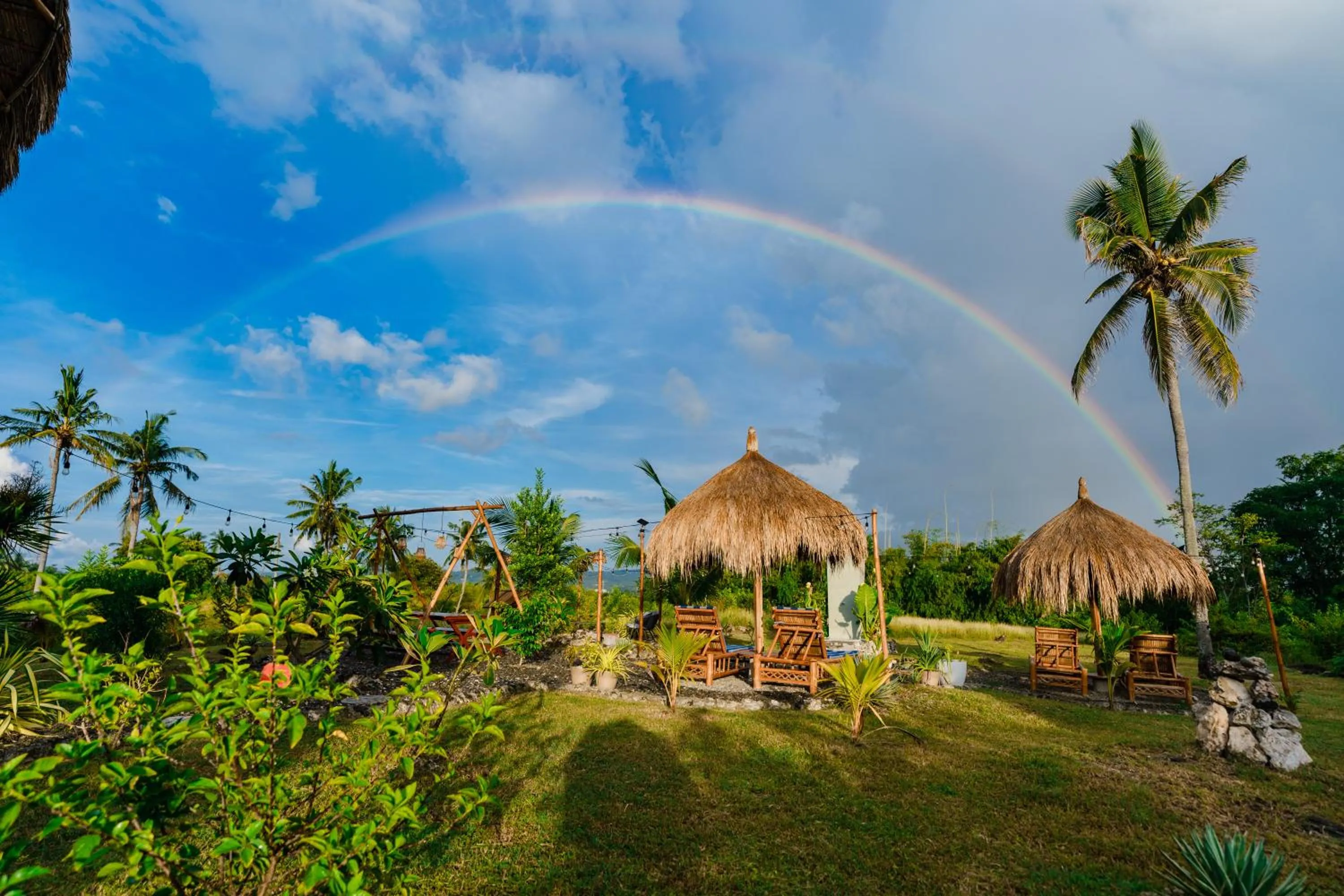 Garden in Tongo Hill Cottages