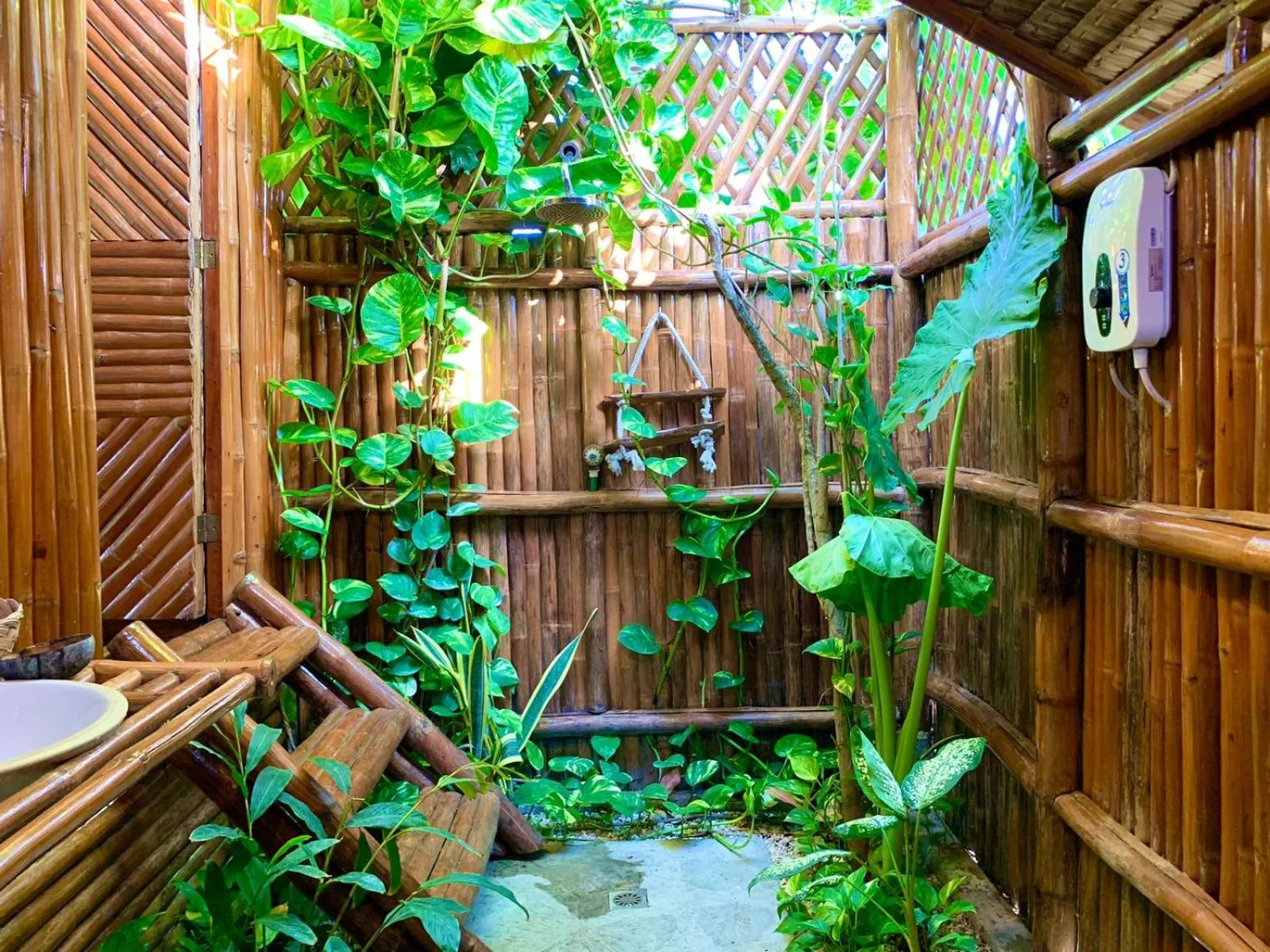 Spring in Tongo Hill Cottages