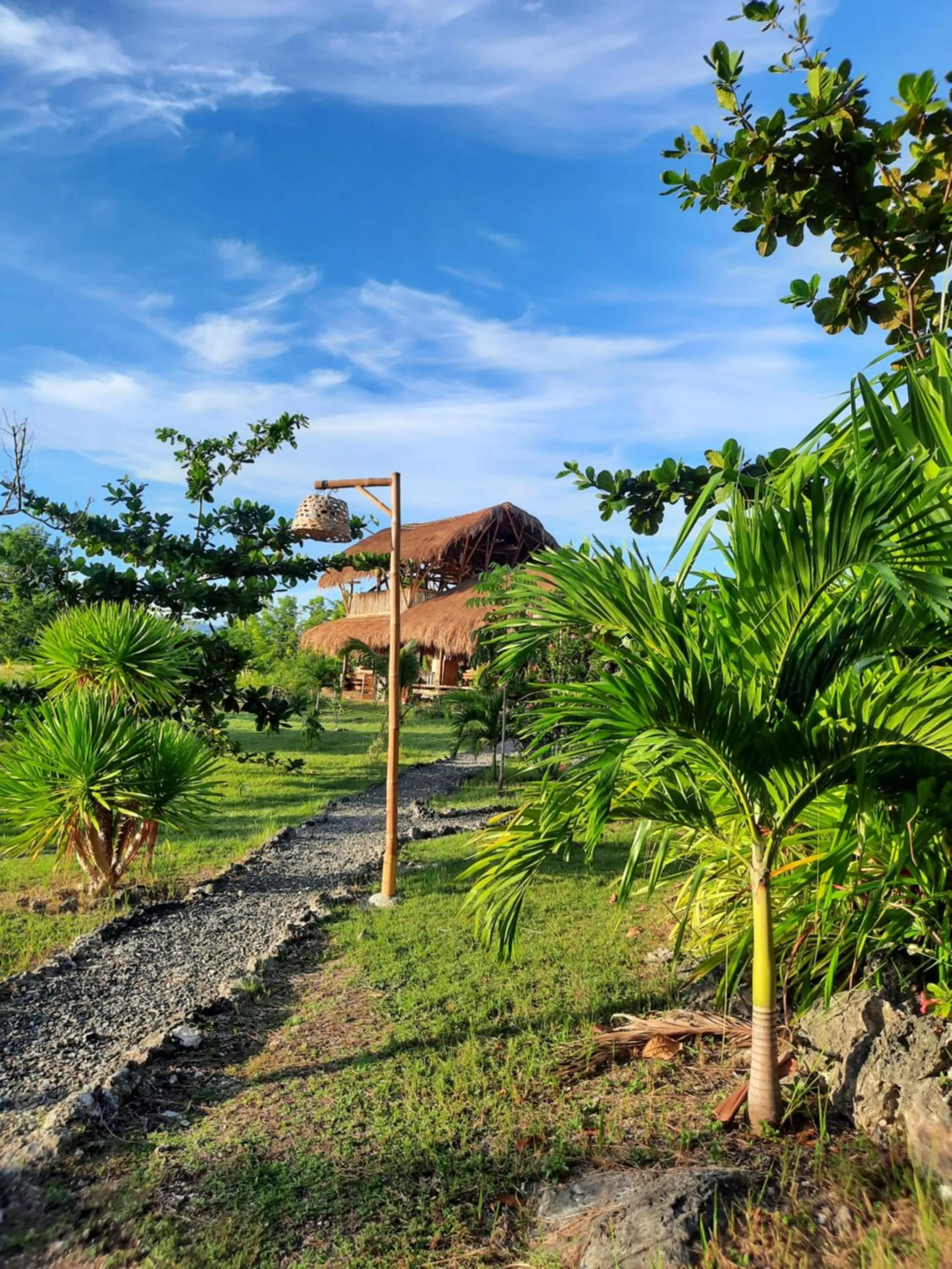 Garden in Tongo Hill Cottages