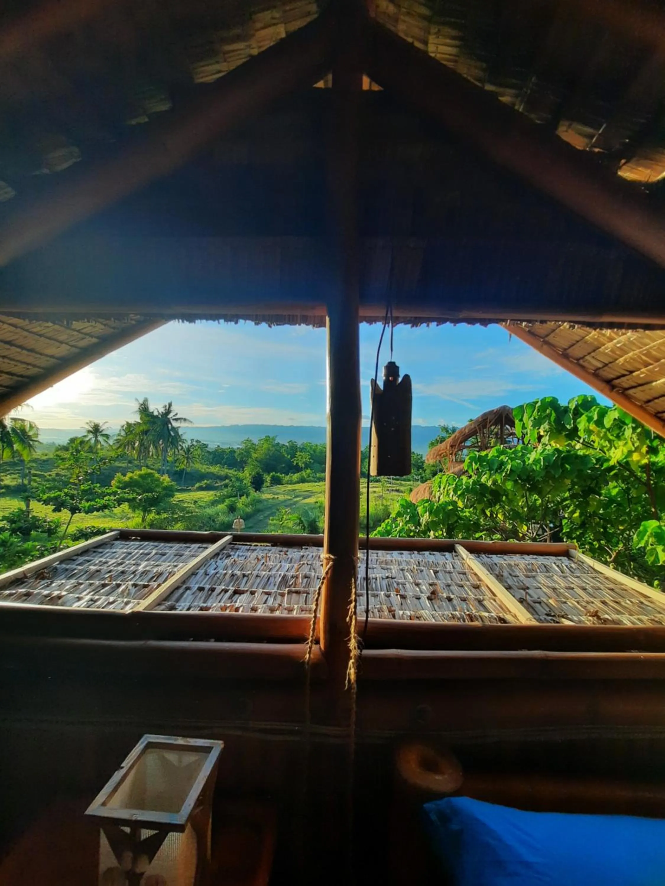View (from property/room) in Tongo Hill Cottages