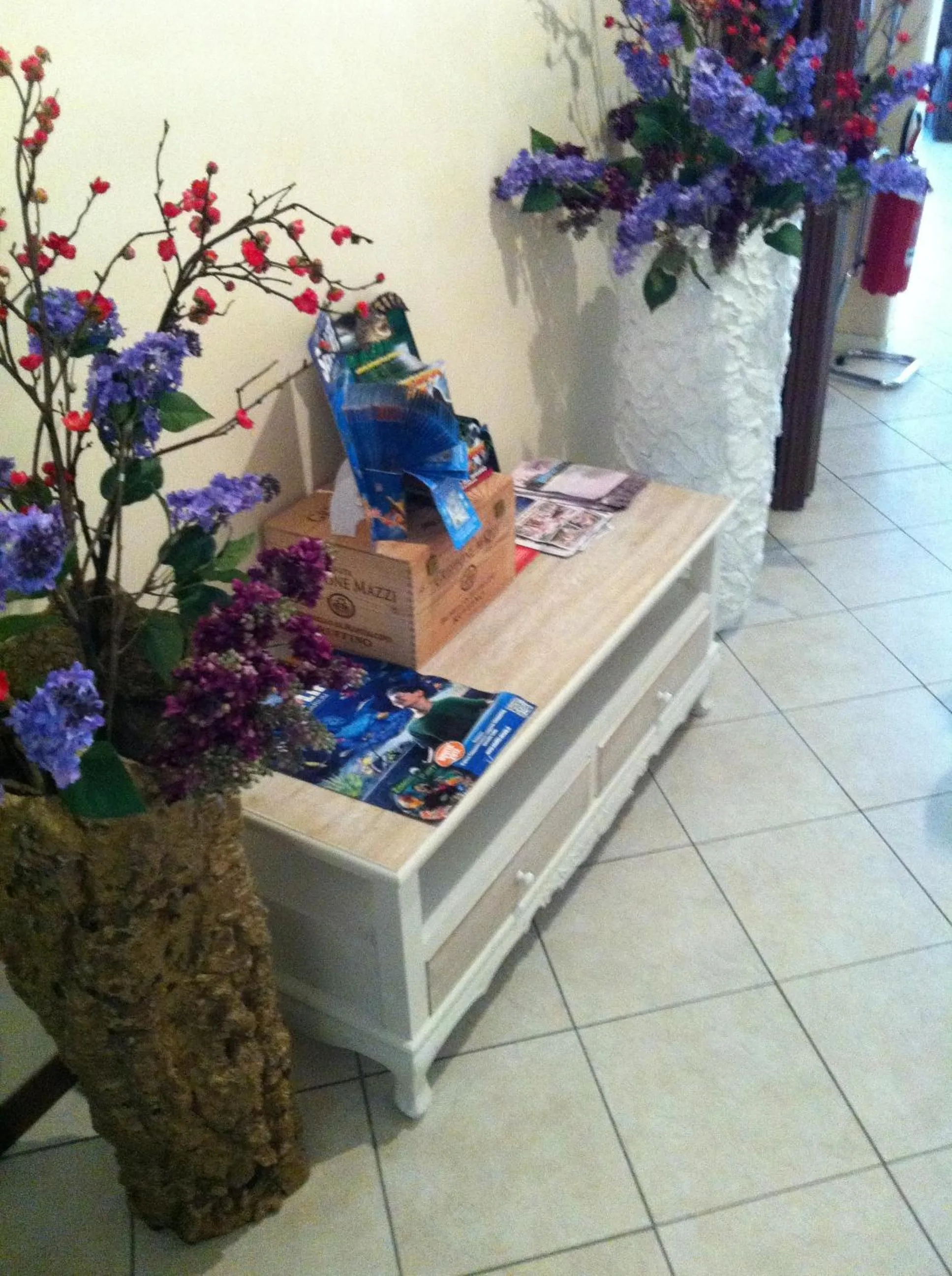 Area and facilities in Hotel Mare Live