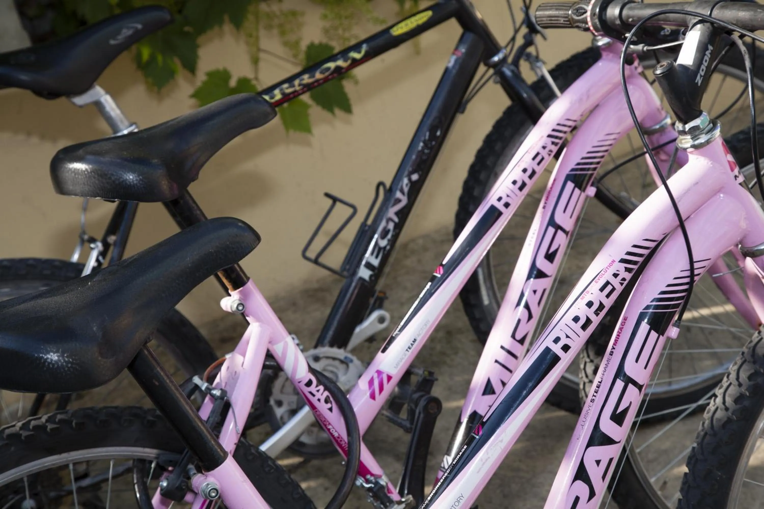 Cycling in Hotel Mare Live