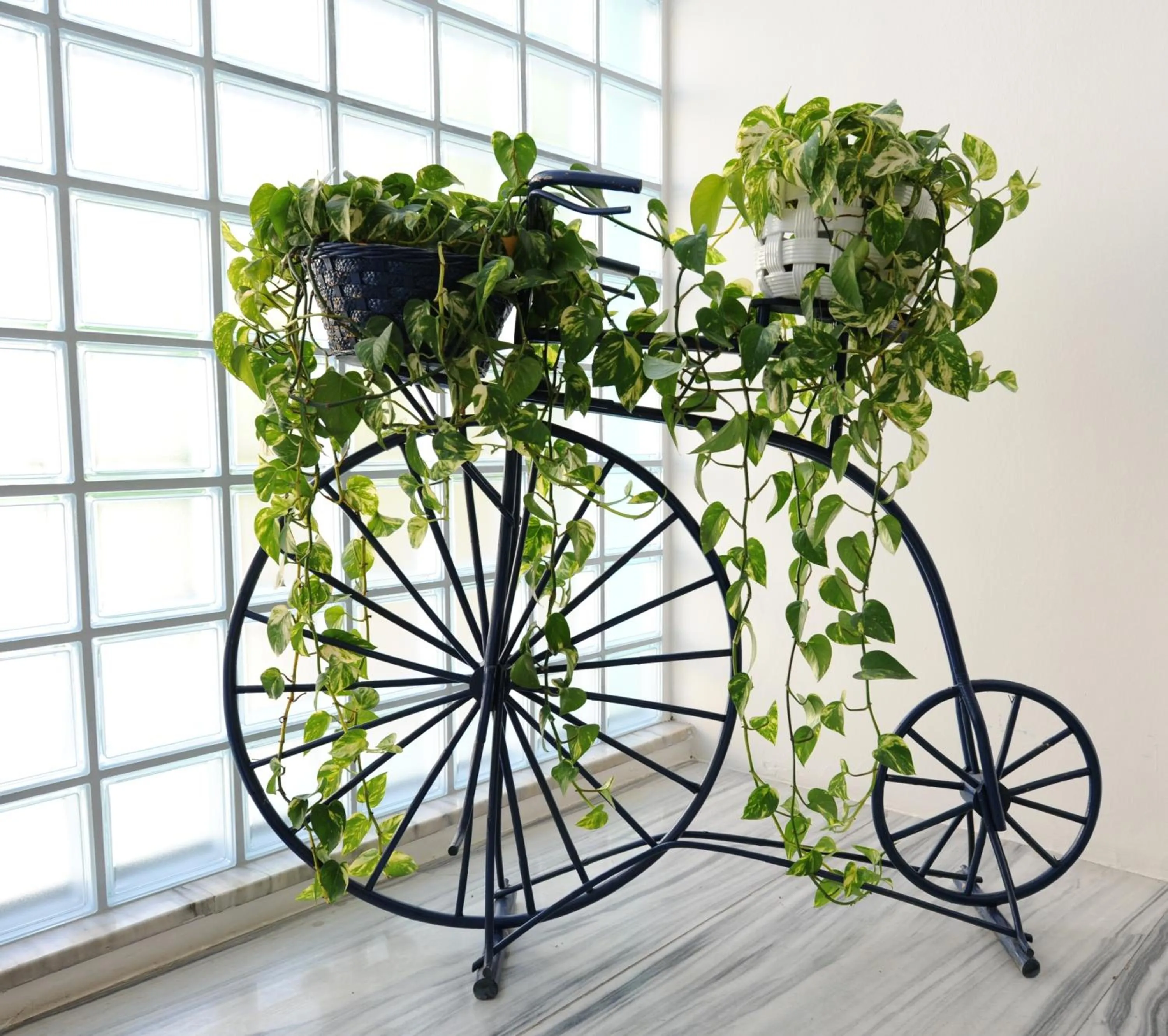 Decorative detail in Hotel Savoia