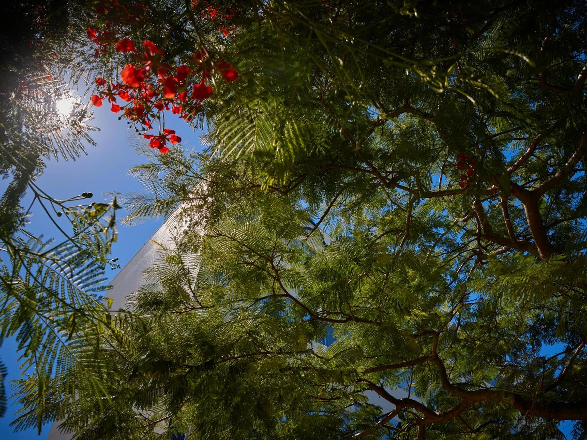 Property building in Marea Resort Motobu