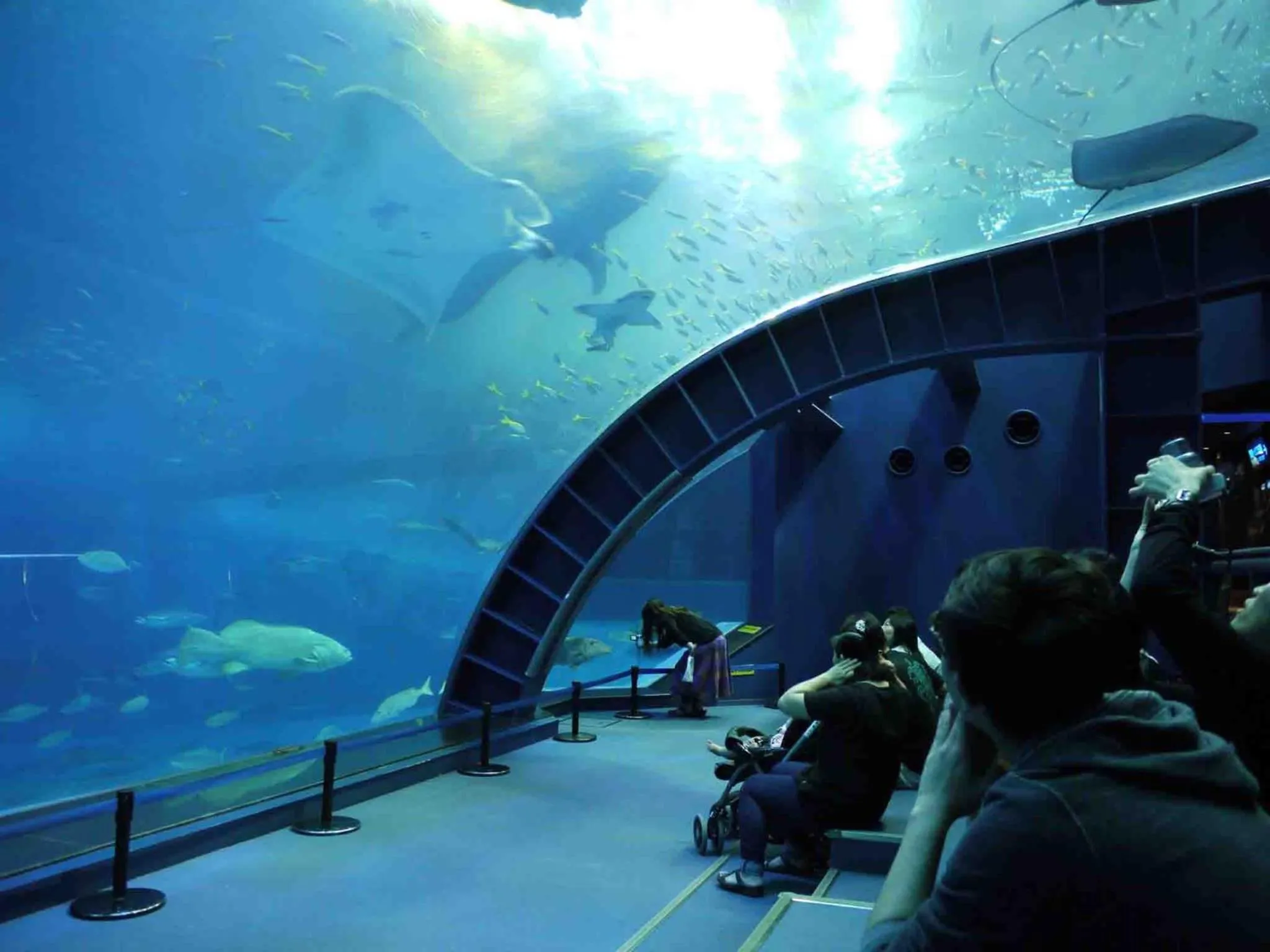 Other in Marea Resort Motobu