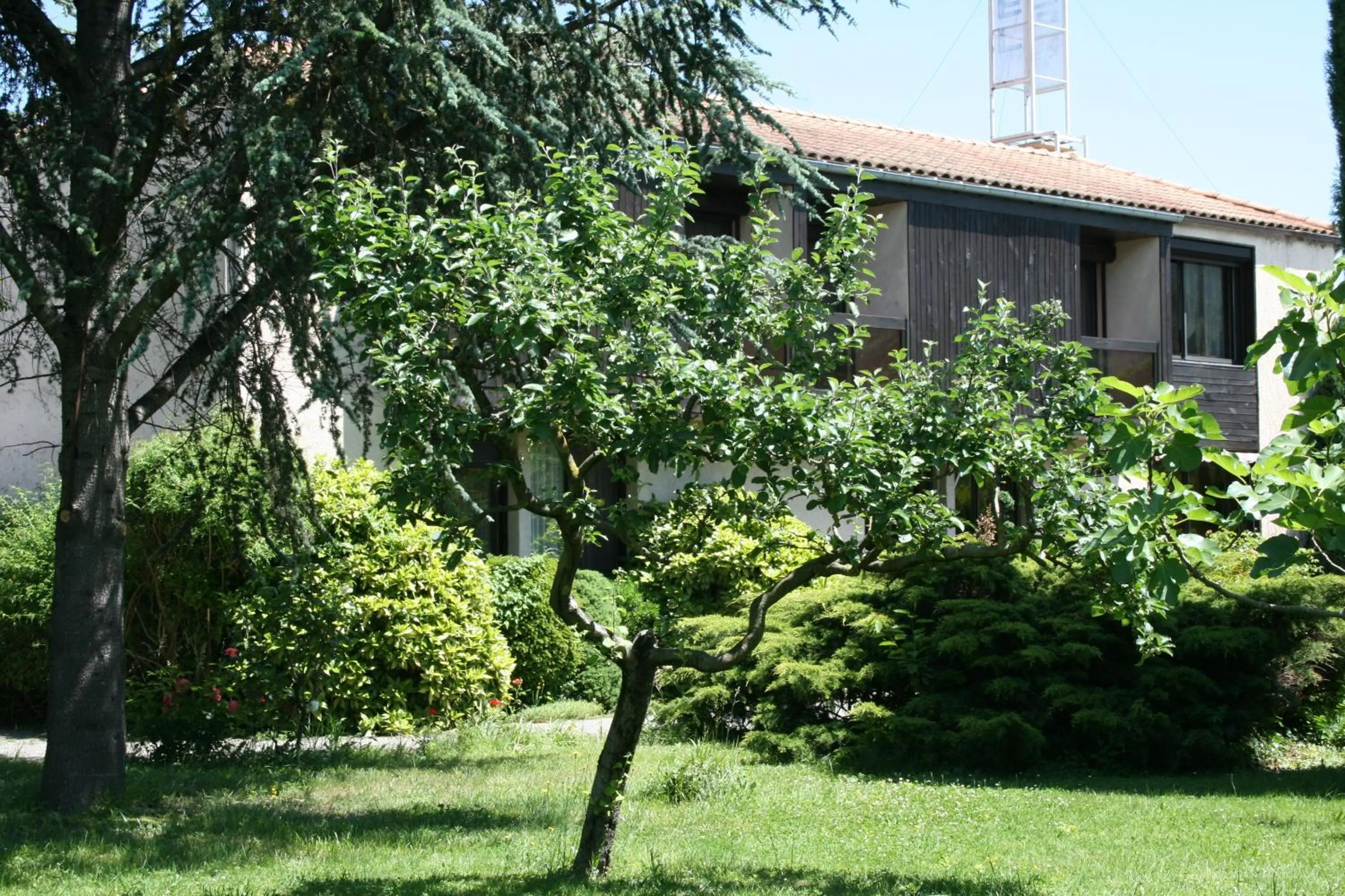 Garden in Hôtel Pyrène