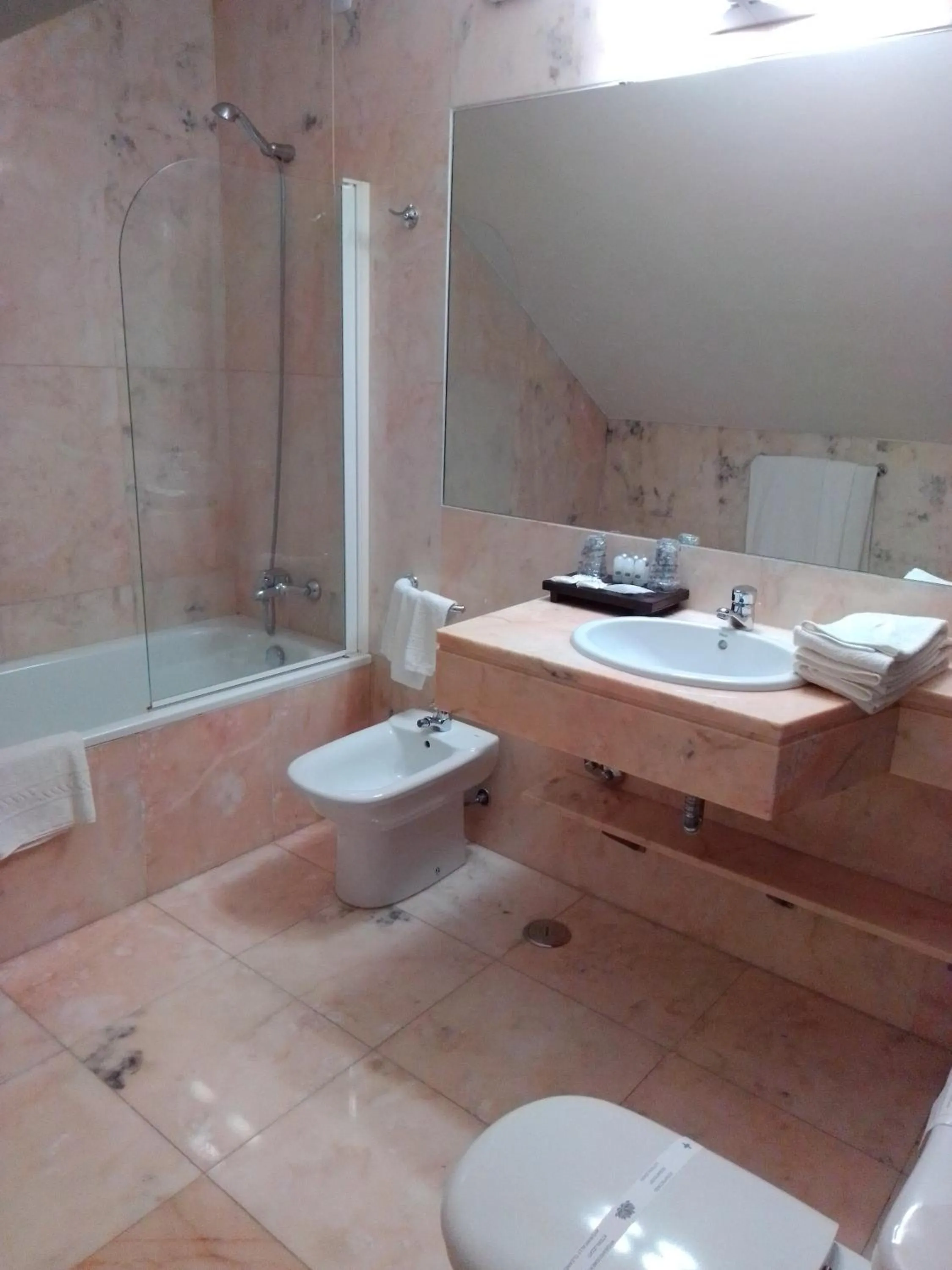 Bathroom in Hotel Acez