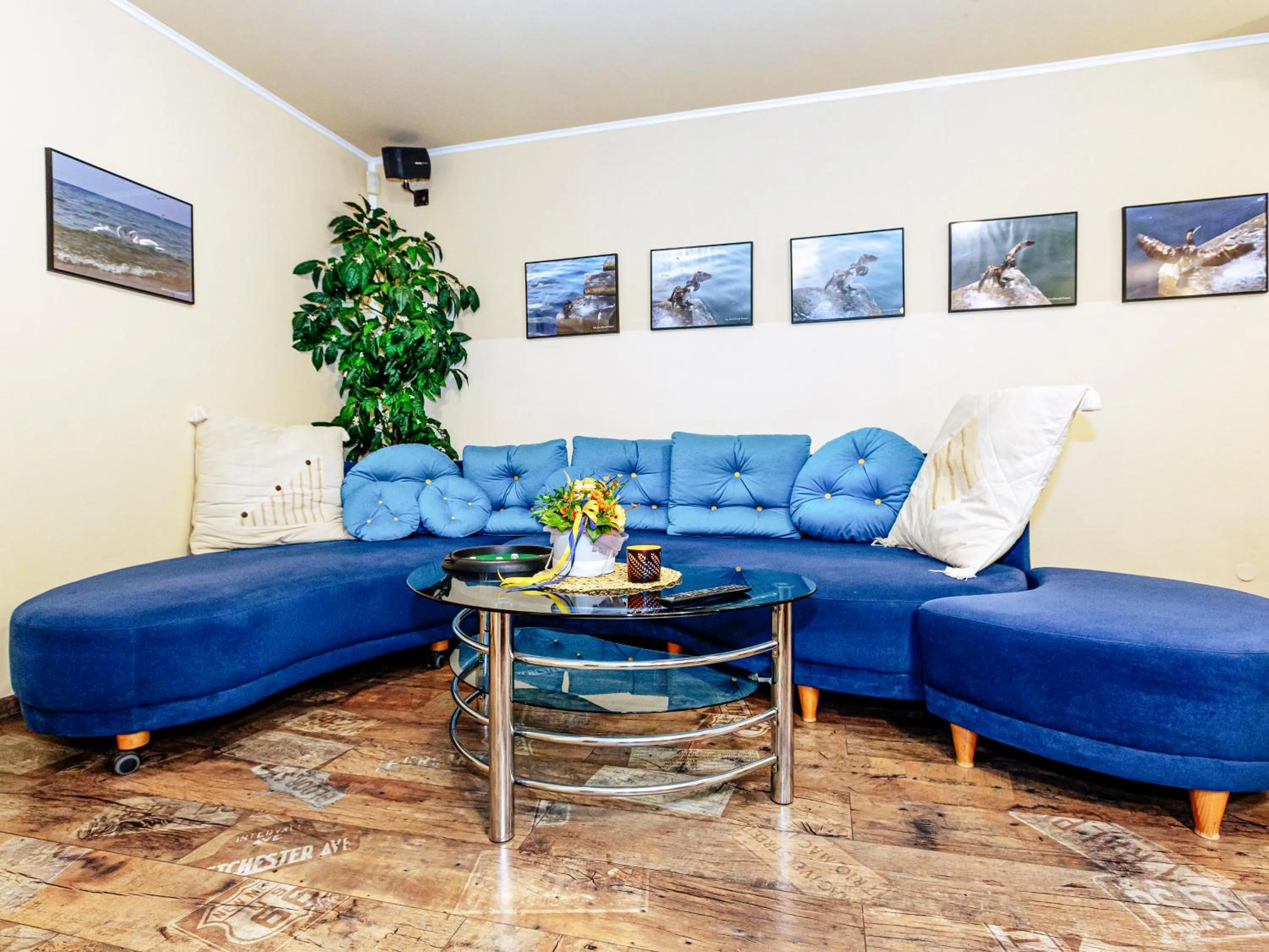 Living room in Willa Luna