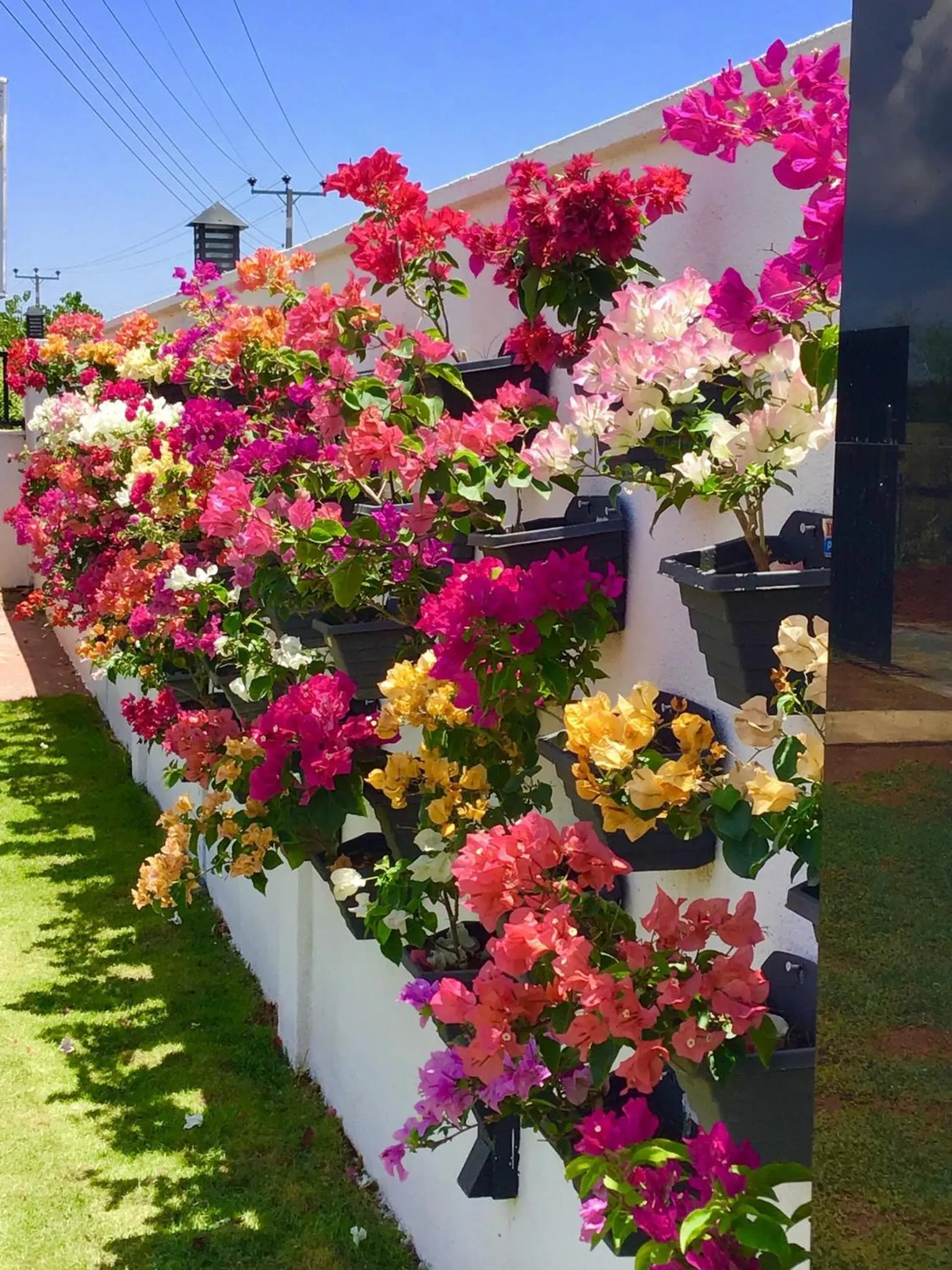 Garden in Avonil Resort Yala