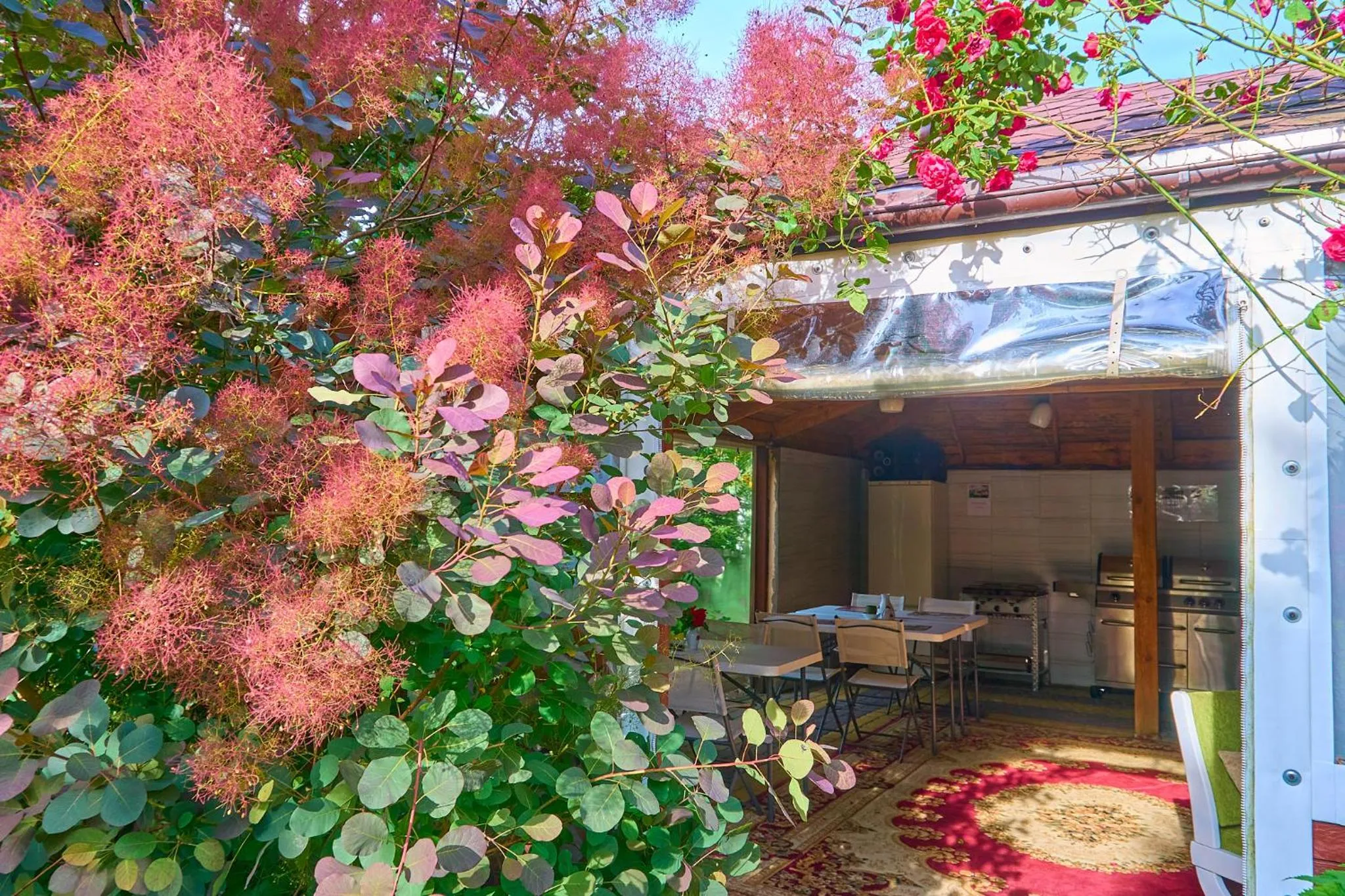 BBQ facilities in OW Sargus