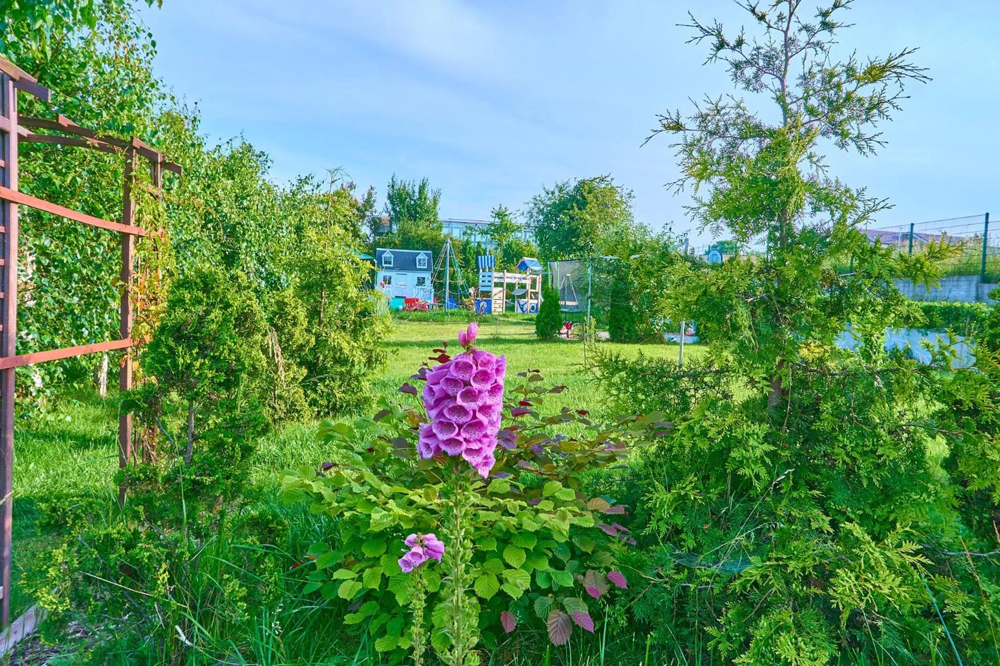 Natural landscape in OW Sargus