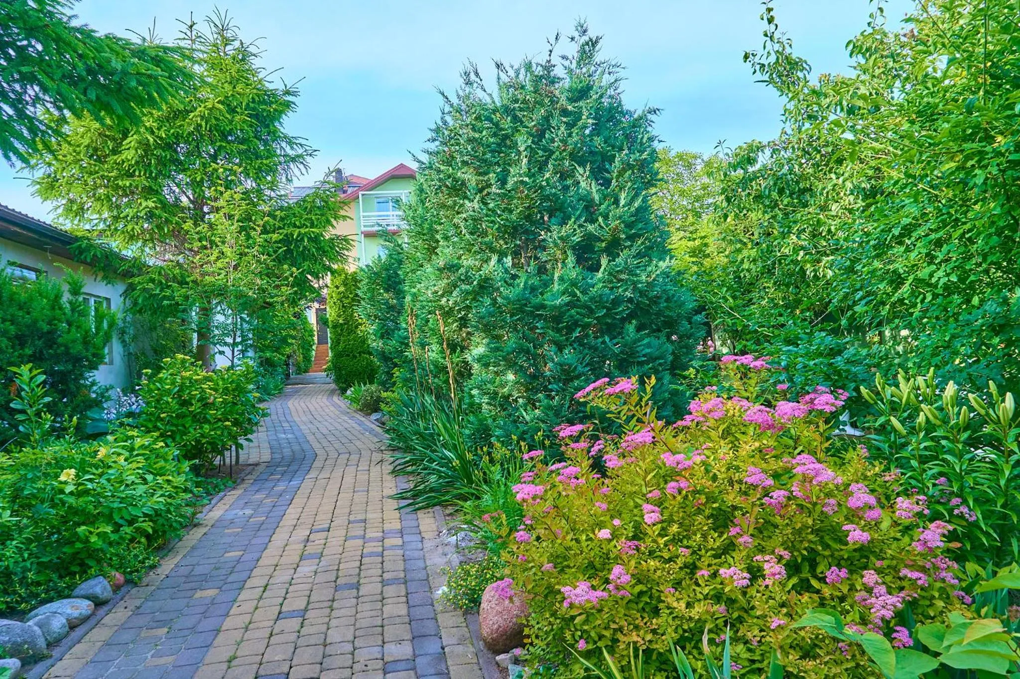 Natural landscape in OW Sargus