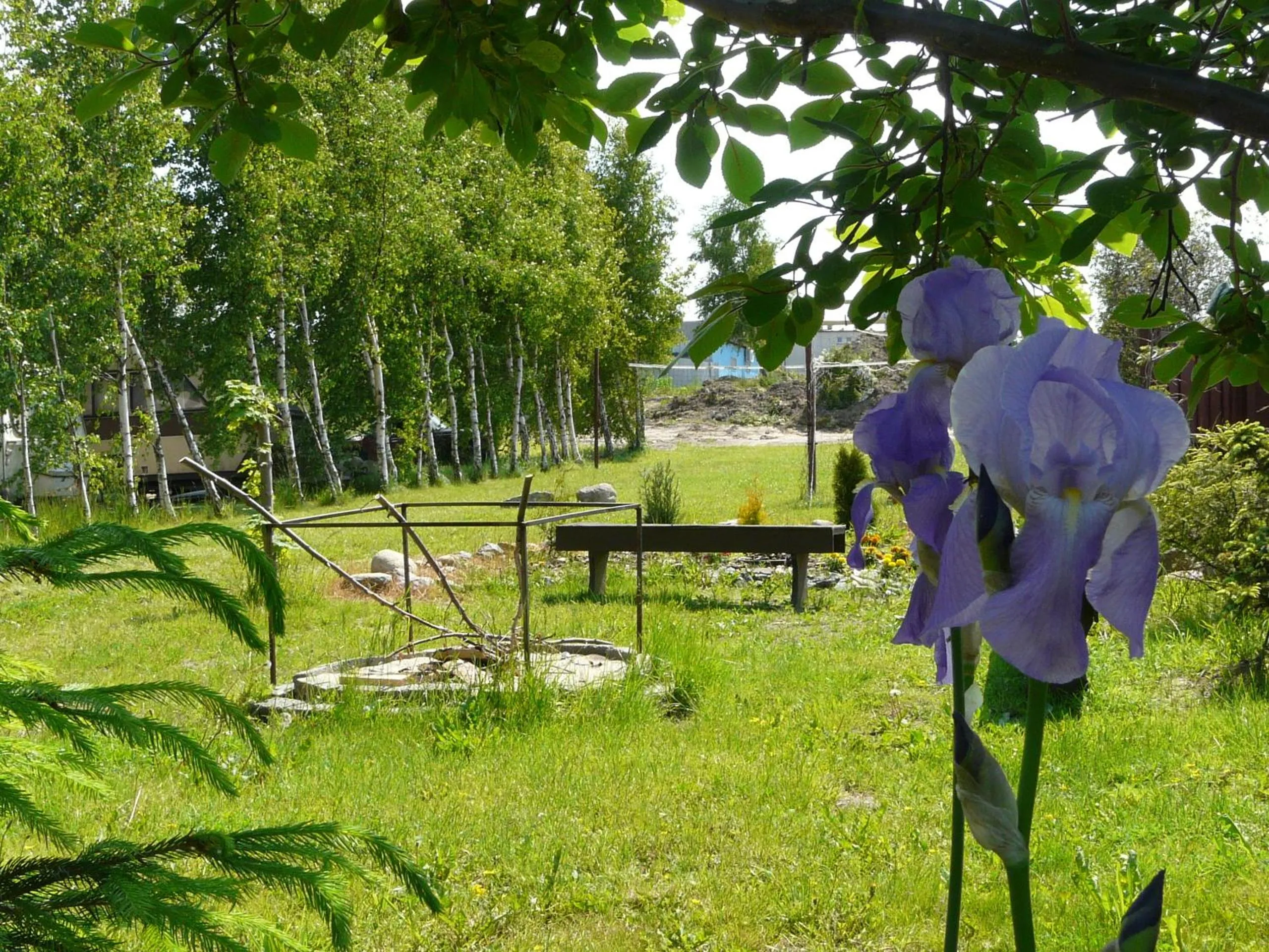 Garden in OW Sargus