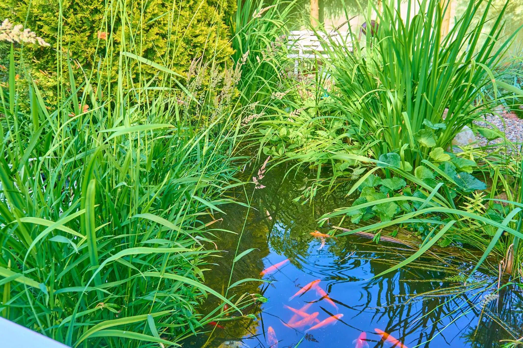 Natural landscape in OW Sargus