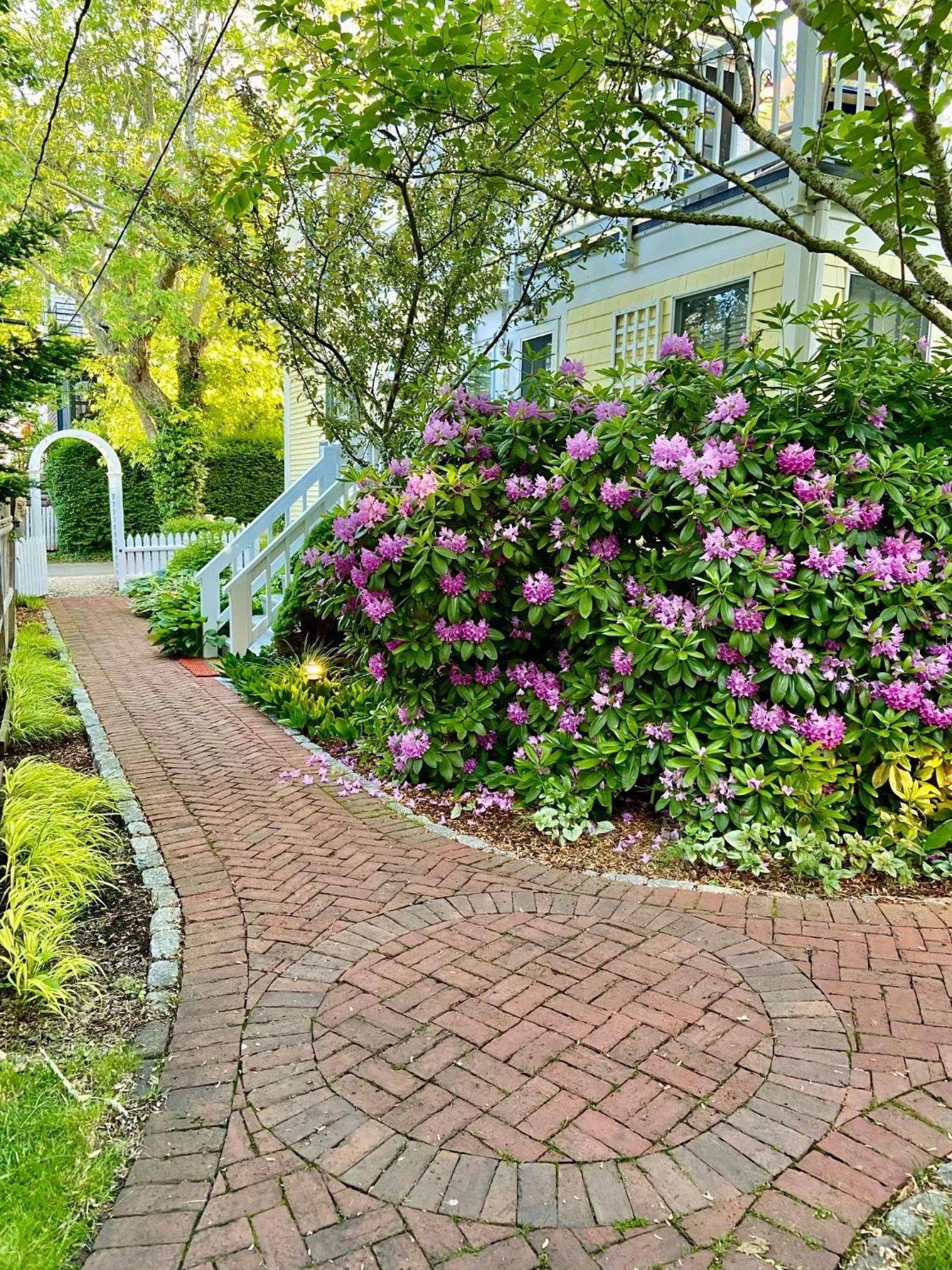 Garden in Inn at Cook Street