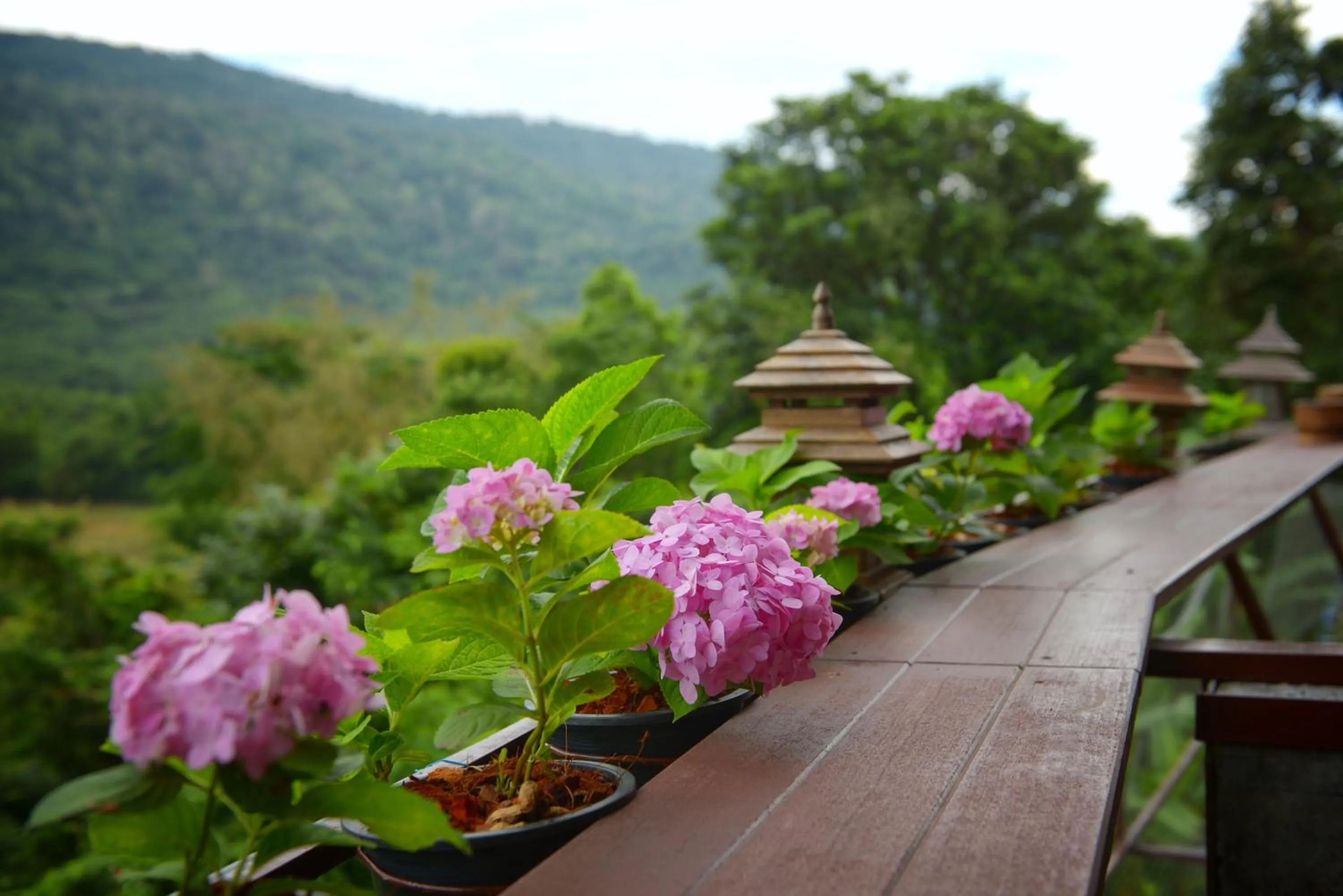 Restaurant/places to eat in Phurua Bussaba Resort & Spa