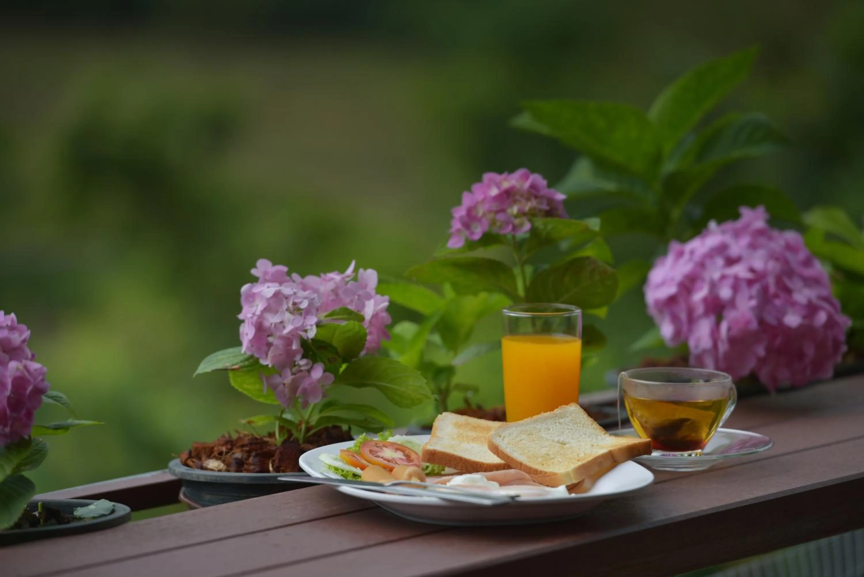 Restaurant/places to eat in Phurua Bussaba Resort & Spa