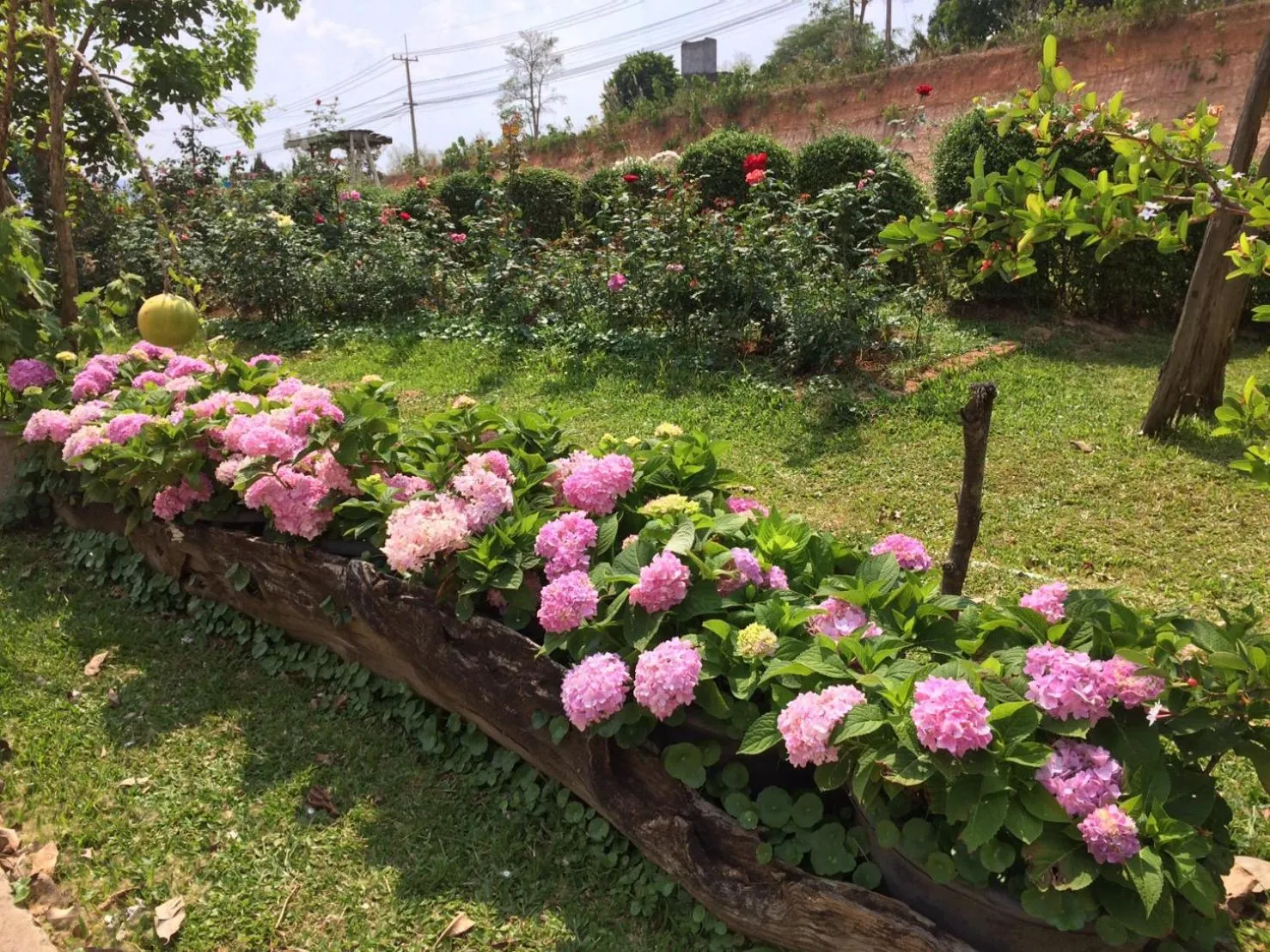 Property building in Phurua Bussaba Resort & Spa