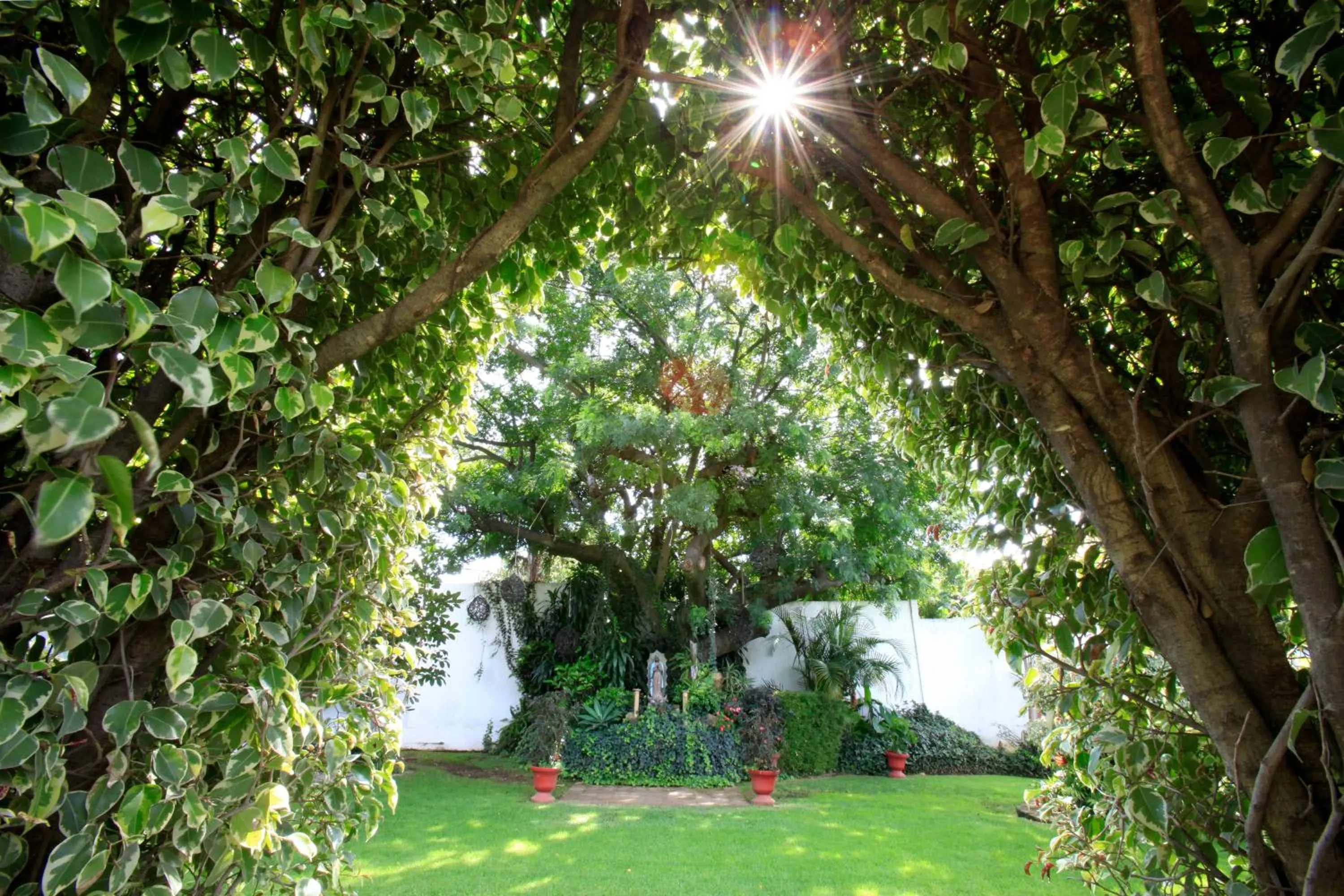 Banquet/Function facilities in Villa Bejar Cuernavaca