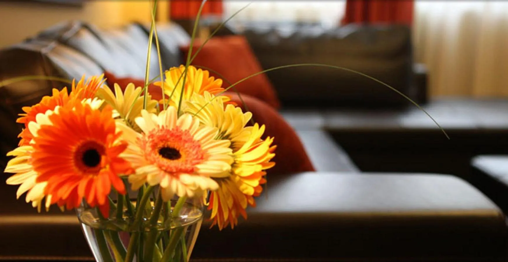 Seating area in Hockley Valley Resort