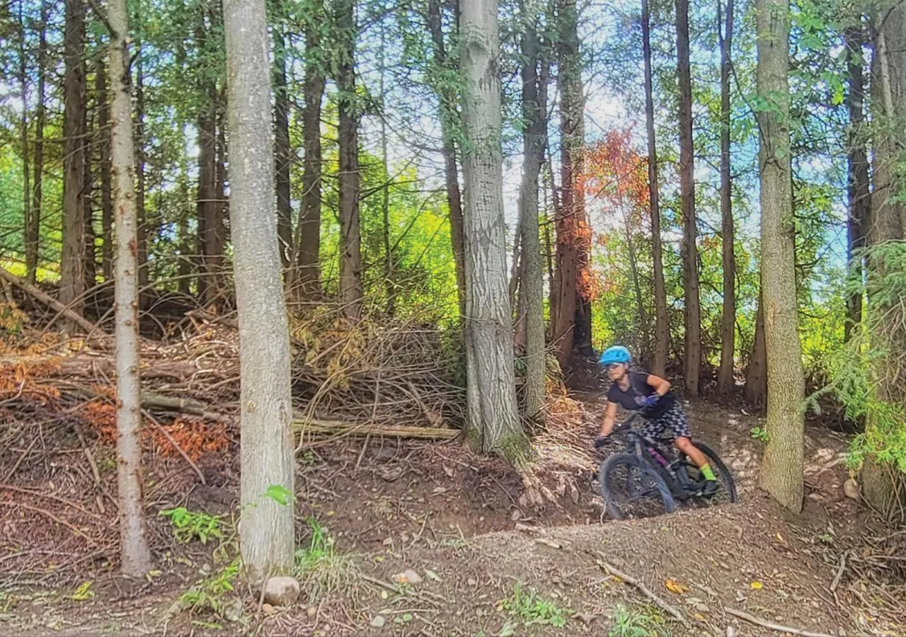 Natural landscape in Hockley Valley Resort