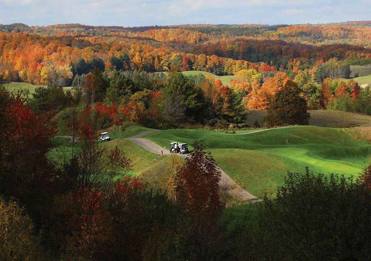 Natural landscape in Hockley Valley Resort