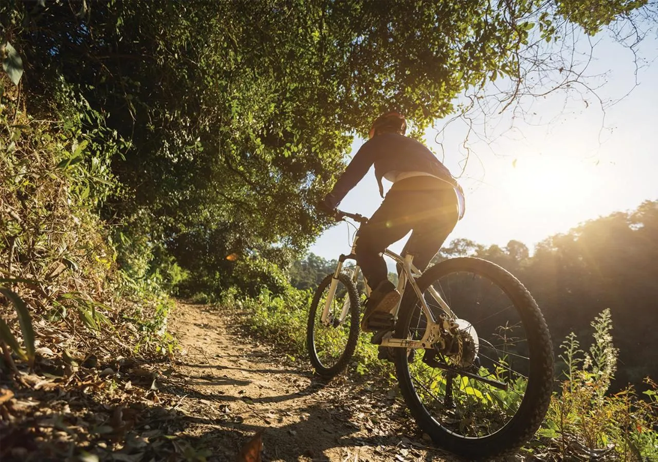 Cycling in Hockley Valley Resort