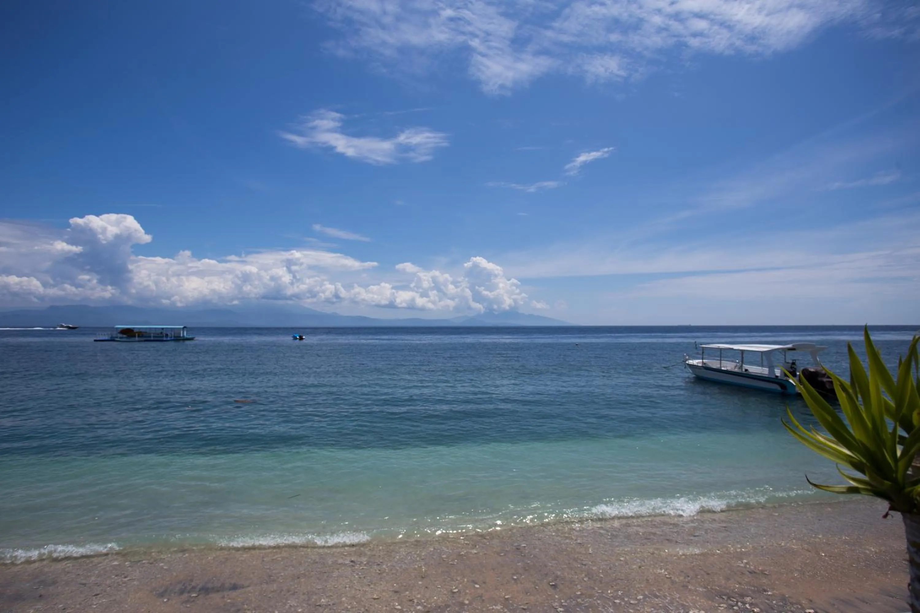 Natural landscape in Rijet Villa Beach & Restaurant