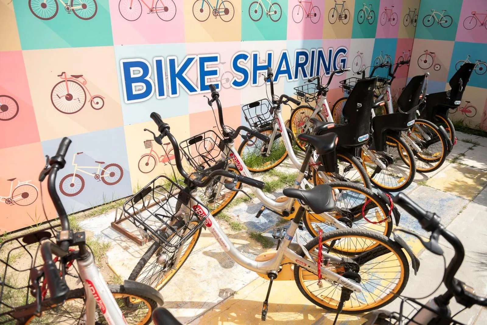 Cycling in Bikini Tropicana Family Hotel