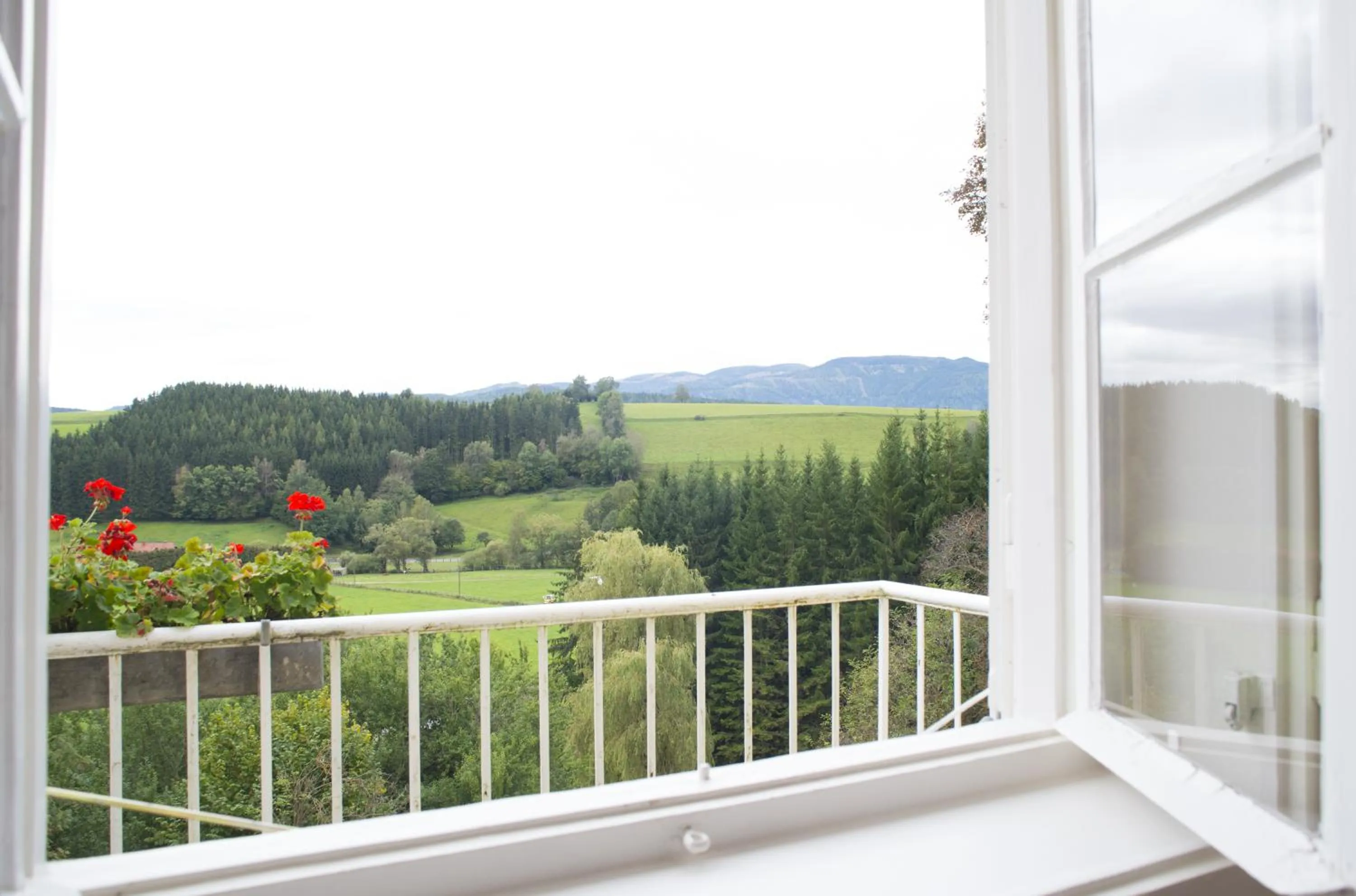 Garden view in Hotel Landsitz Pichlschloss