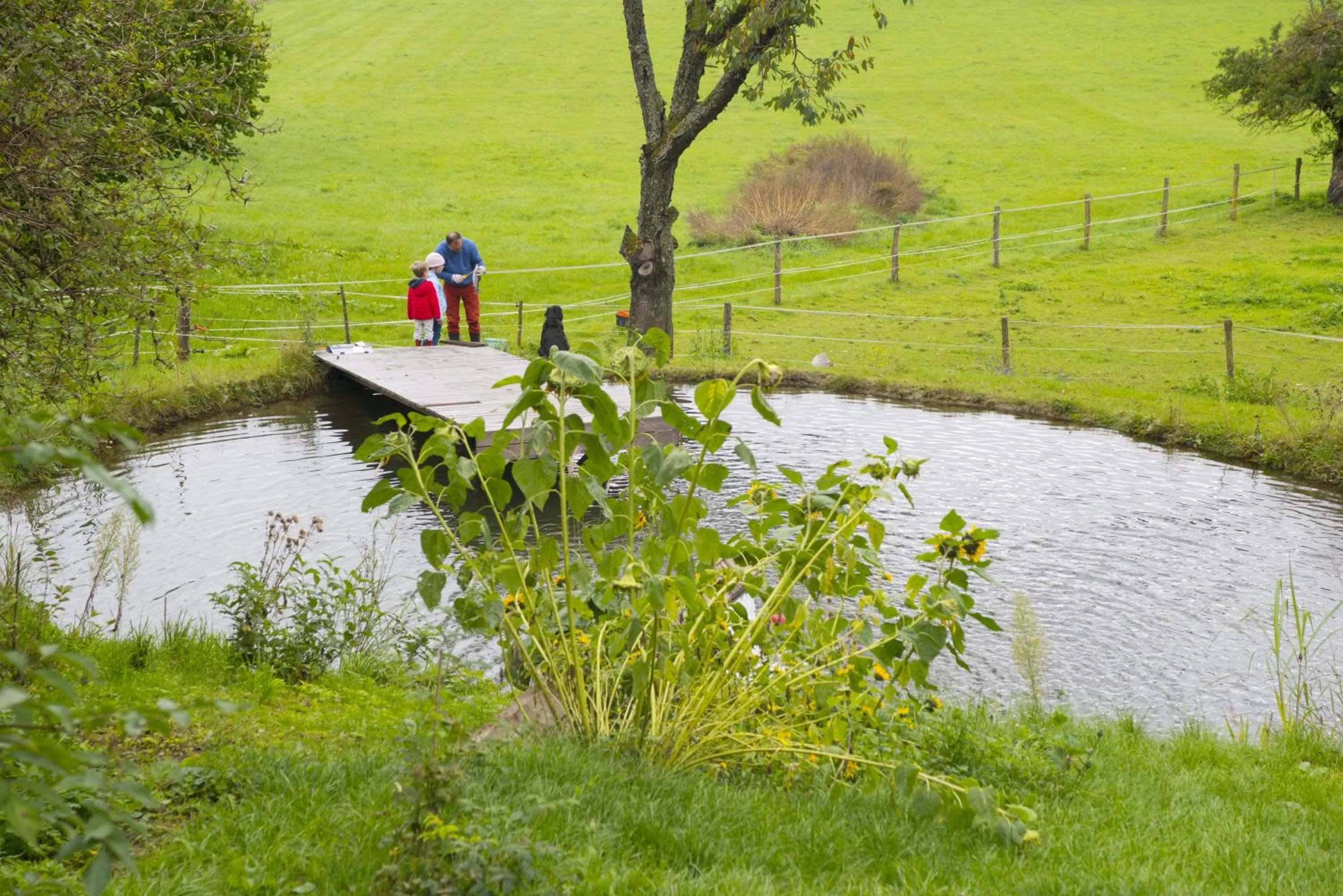 Garden in Hotel Landsitz Pichlschloss