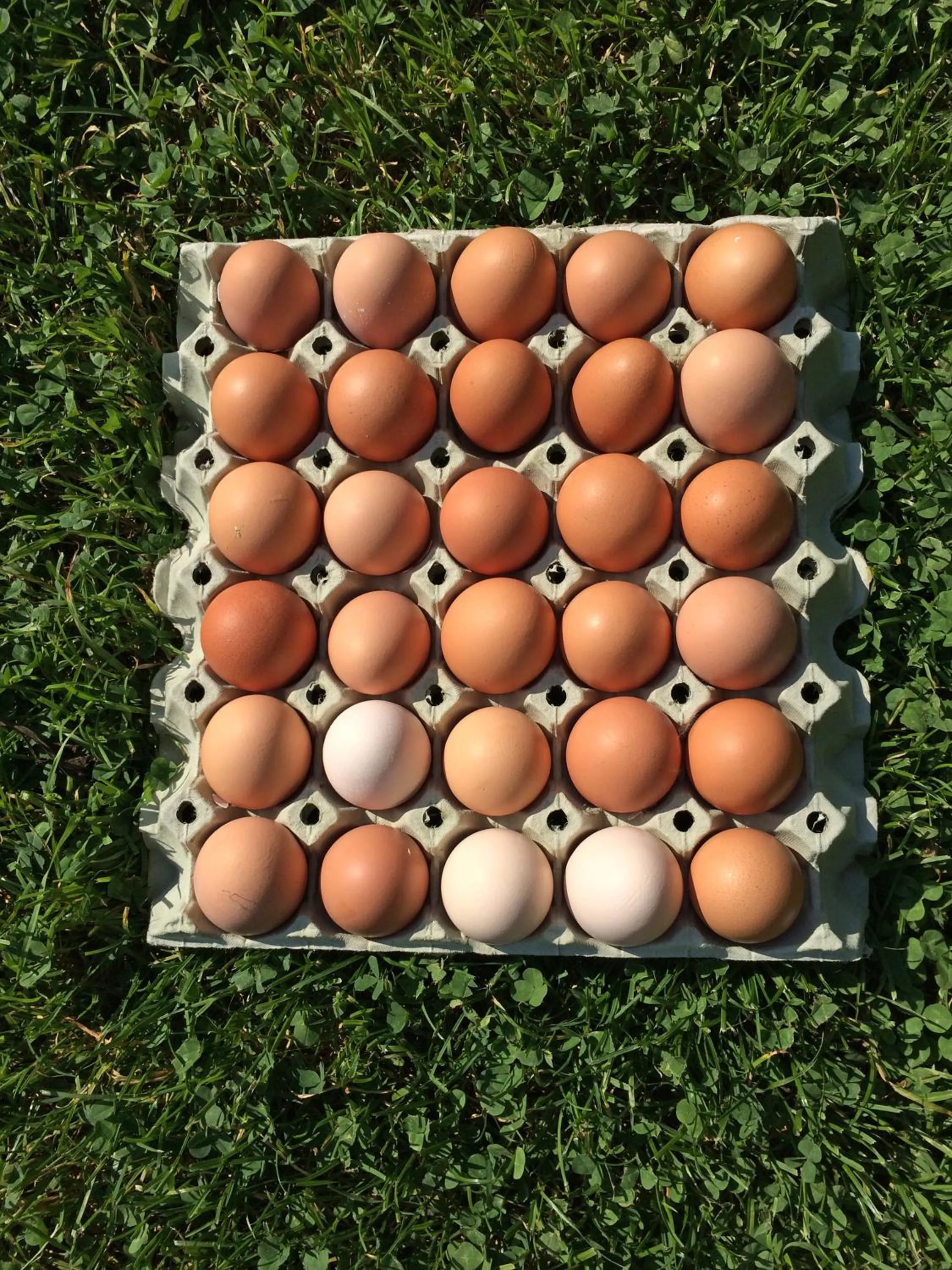 Breakfast in Hotel Landsitz Pichlschloss