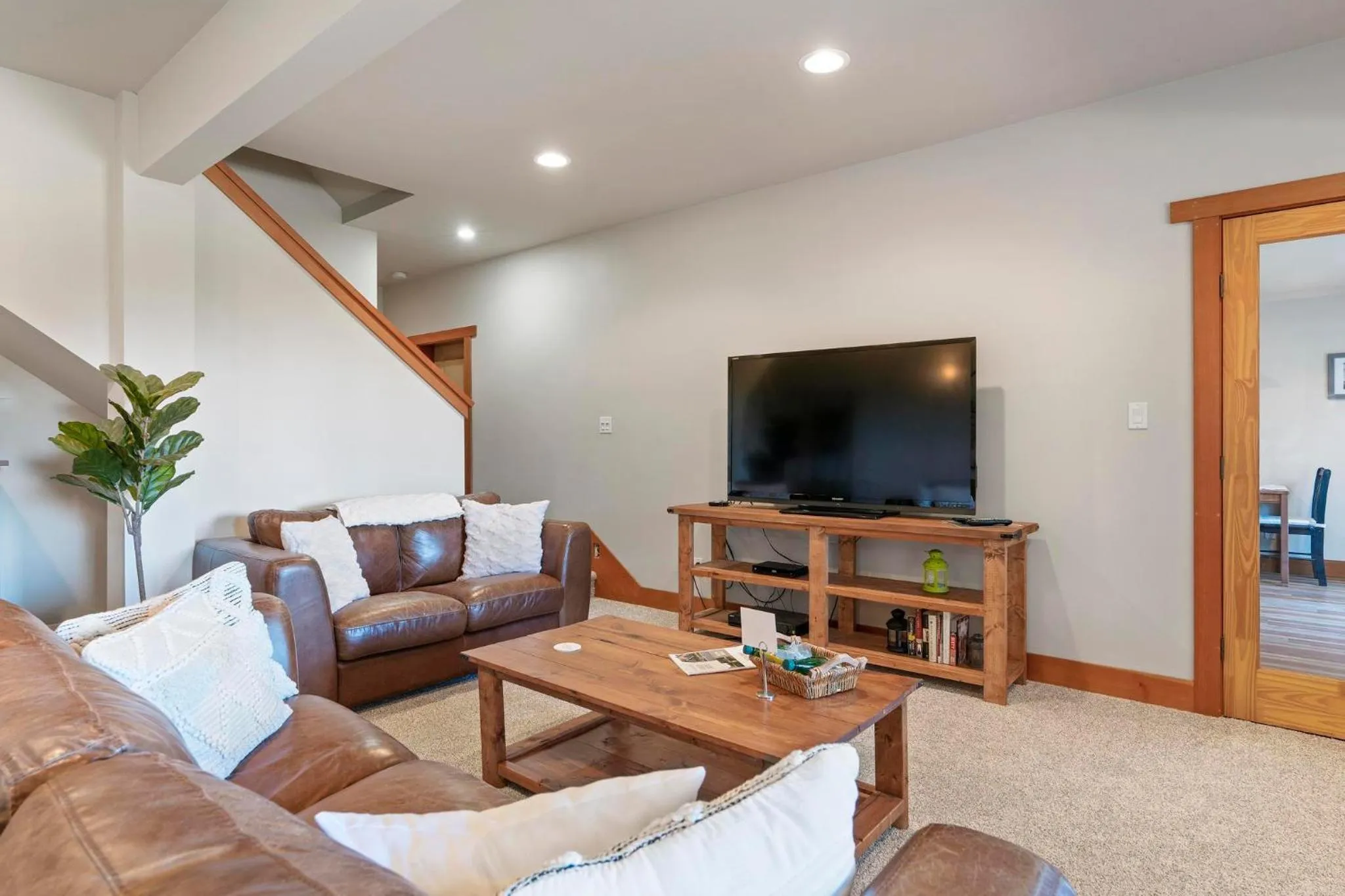 TV and multimedia in Shawnigan Hills Guest Suite