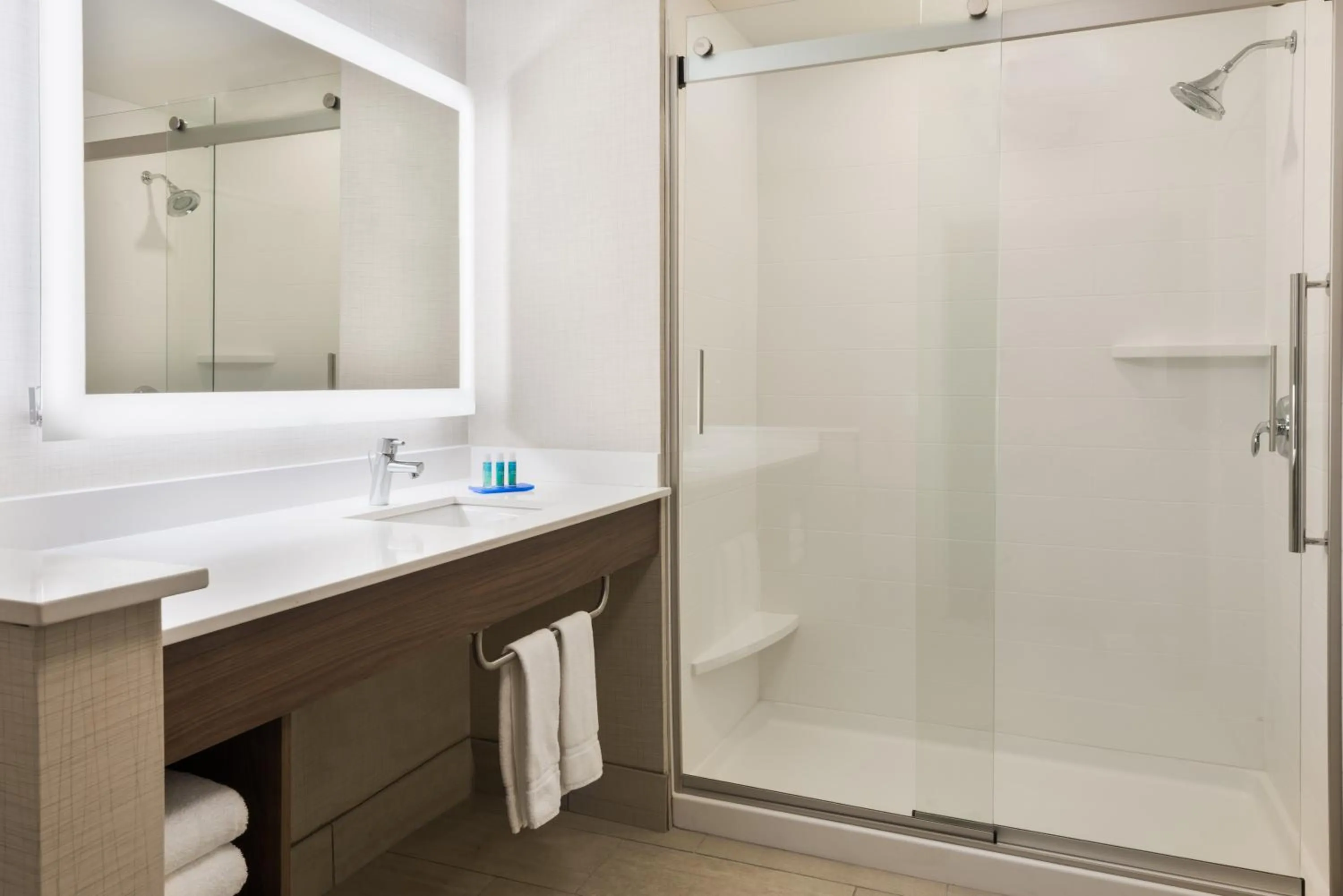 Bathroom in Holiday Inn Express & Suites - Columbus Airport East by IHG