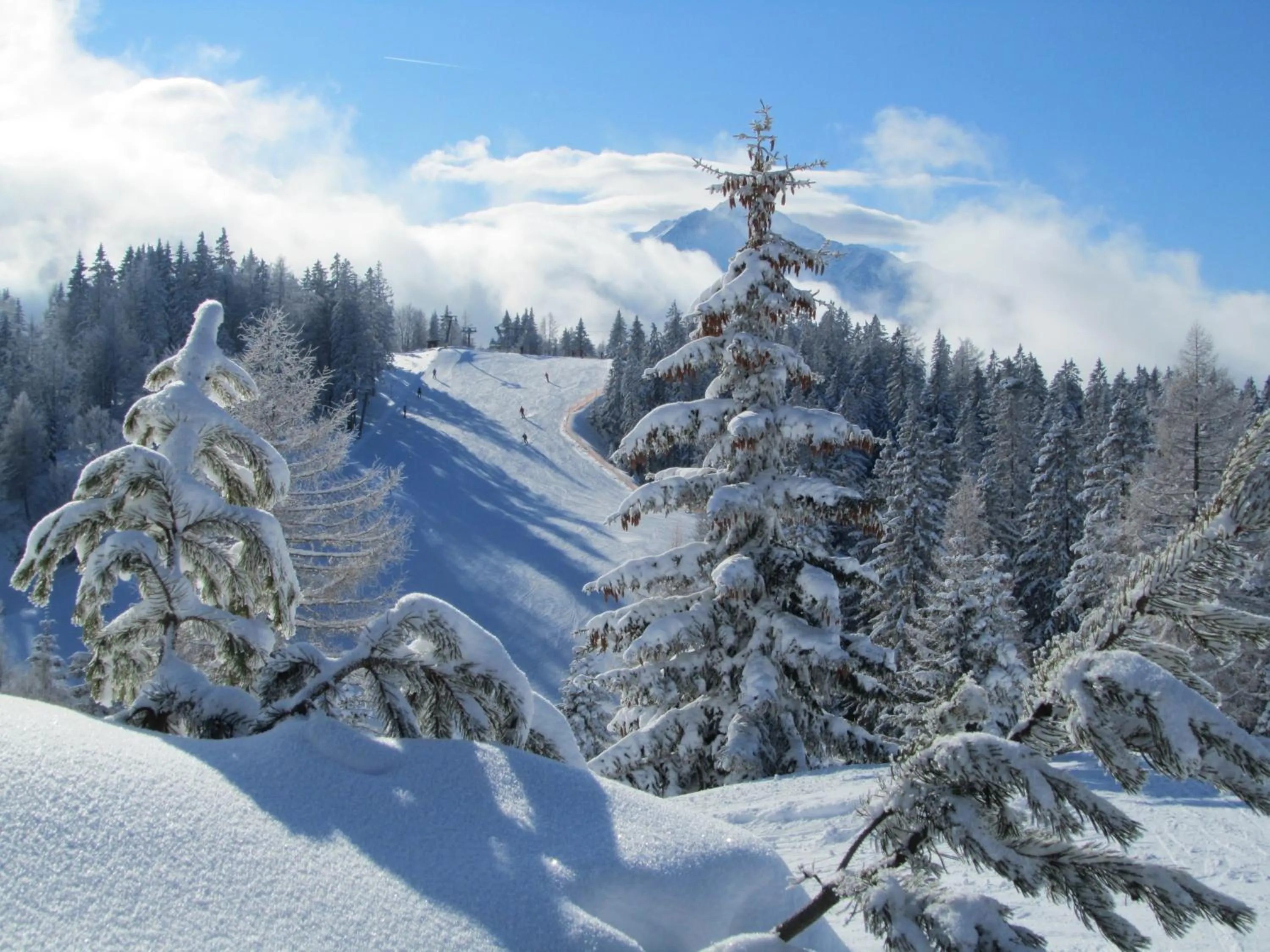 Natural landscape in Hotel Helga