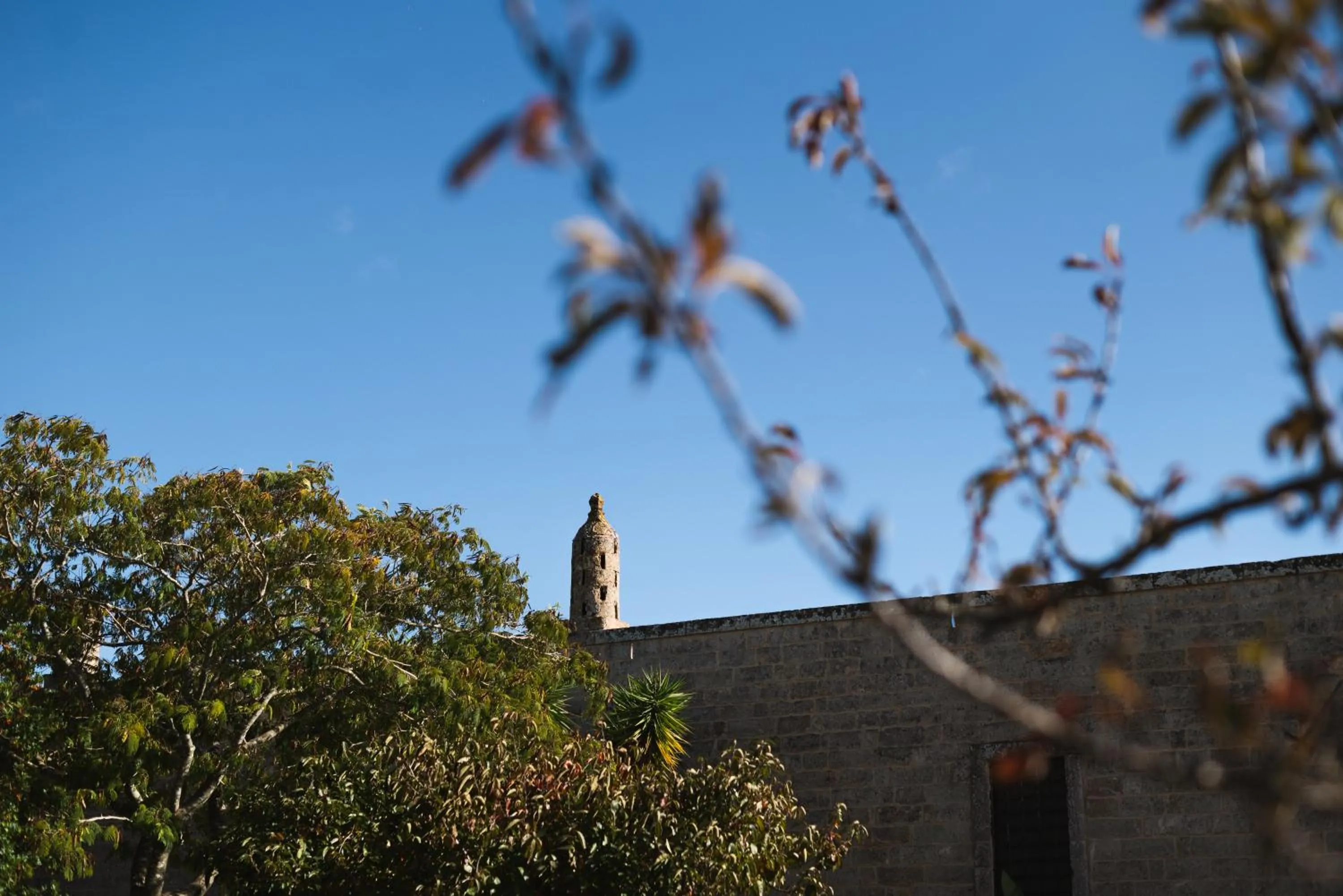 Tenuta Masseria & Spa Chicco Rizzo