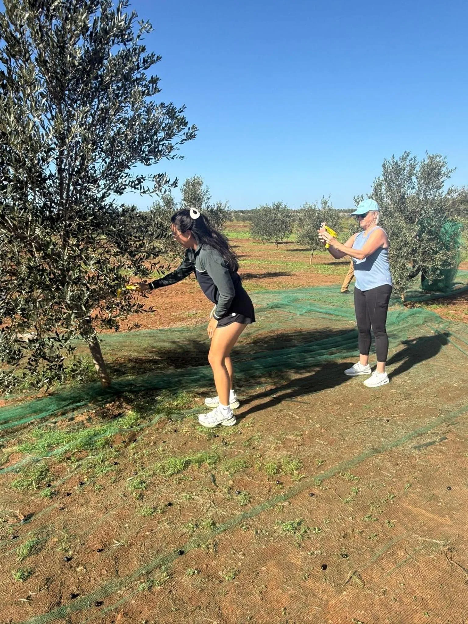 Tenuta Masseria & Spa Chicco Rizzo