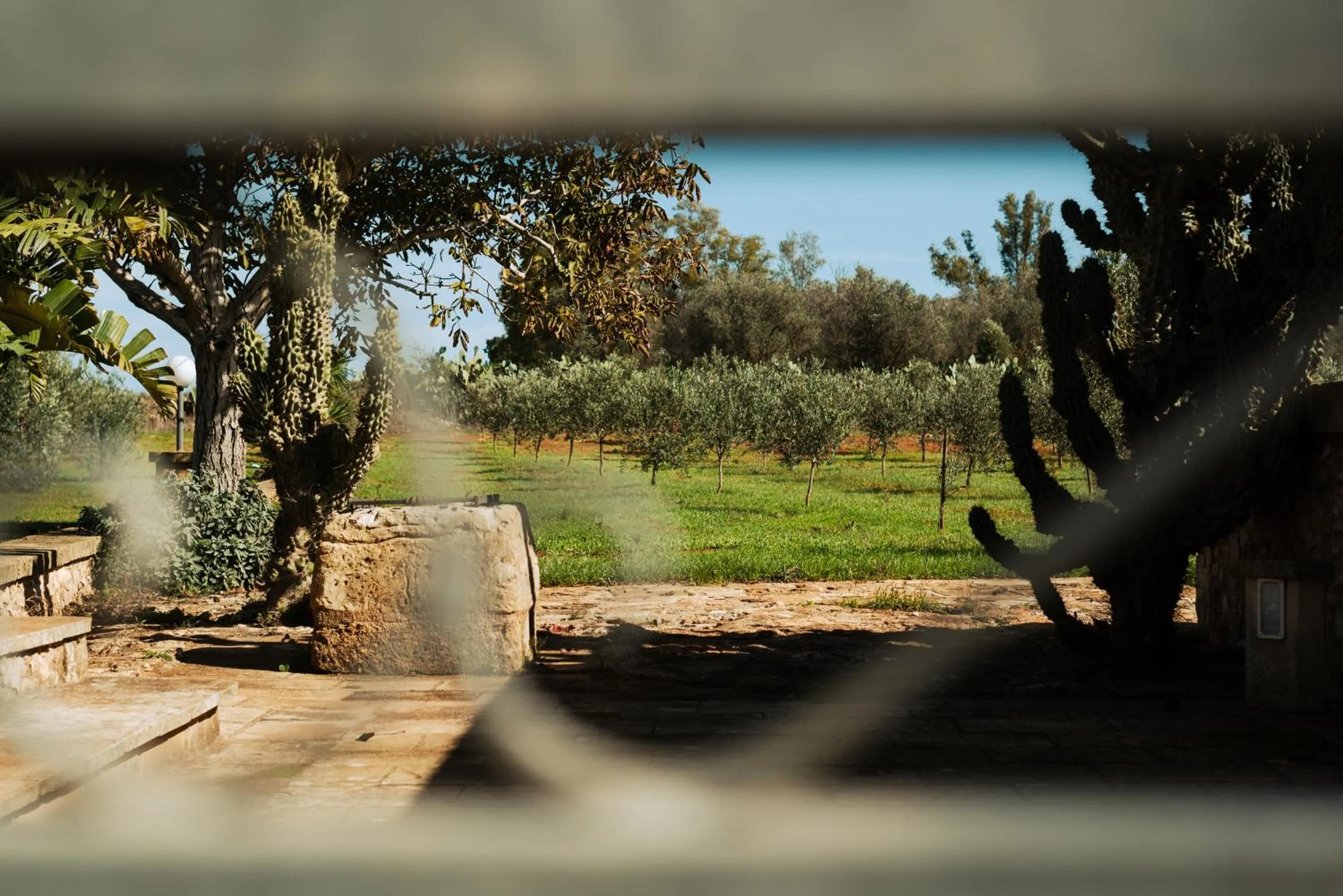 Tenuta Masseria & Spa Chicco Rizzo