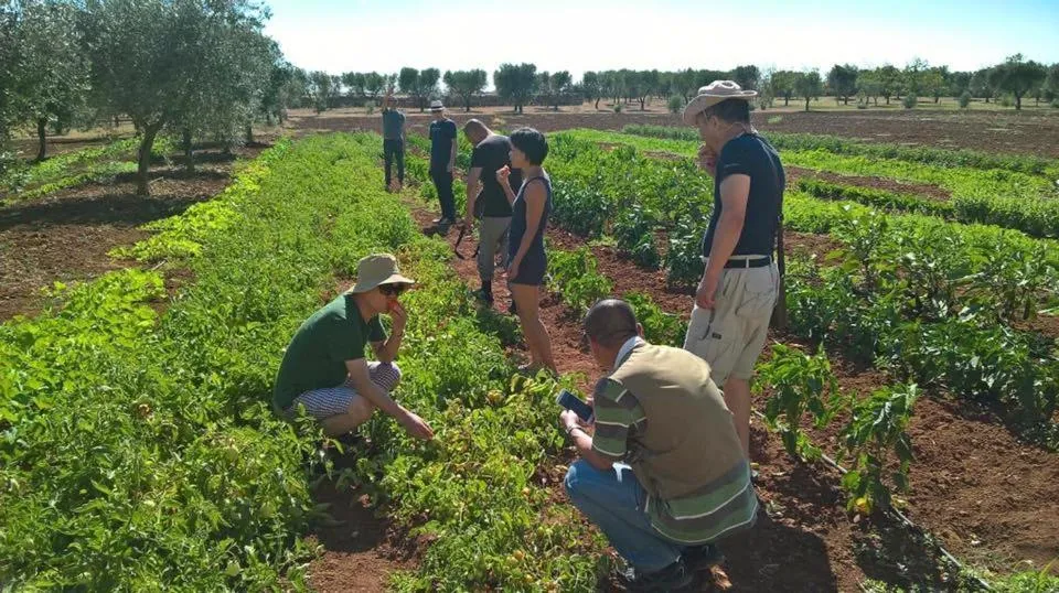 Natural landscape in Tenuta Masseria & Spa Chicco Rizzo