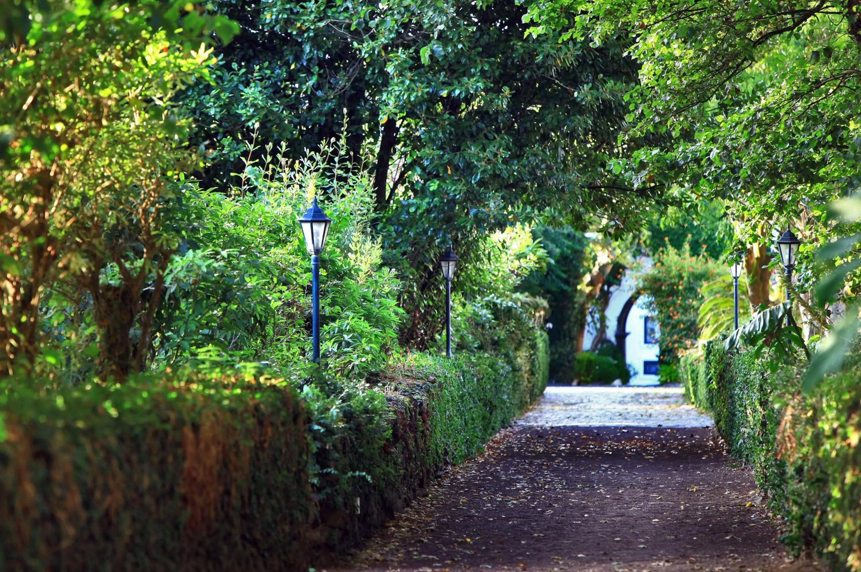 Garden in Solar Do Conde Garden Hotel