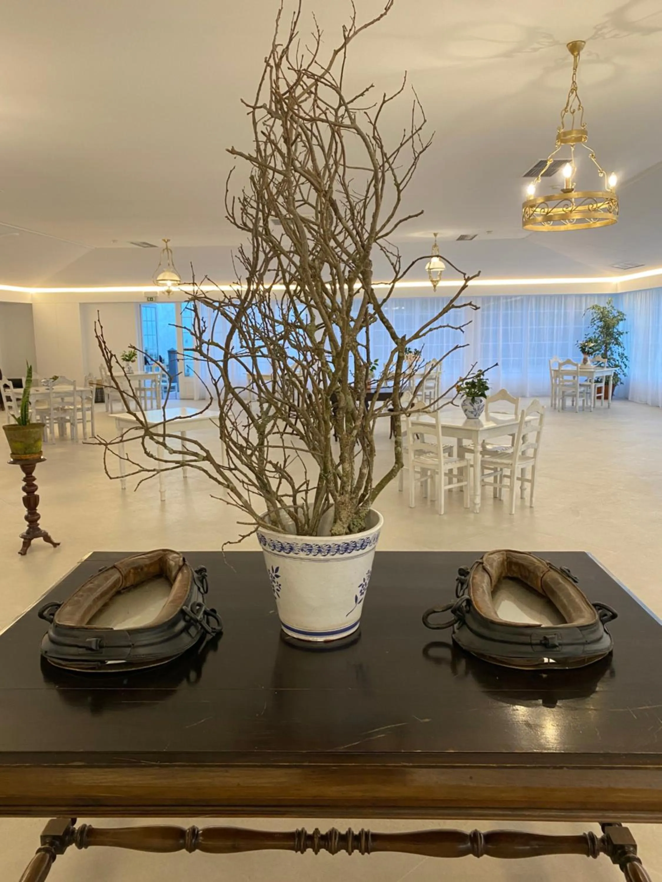 Banquet/Function facilities in Solar Do Conde Garden Hotel