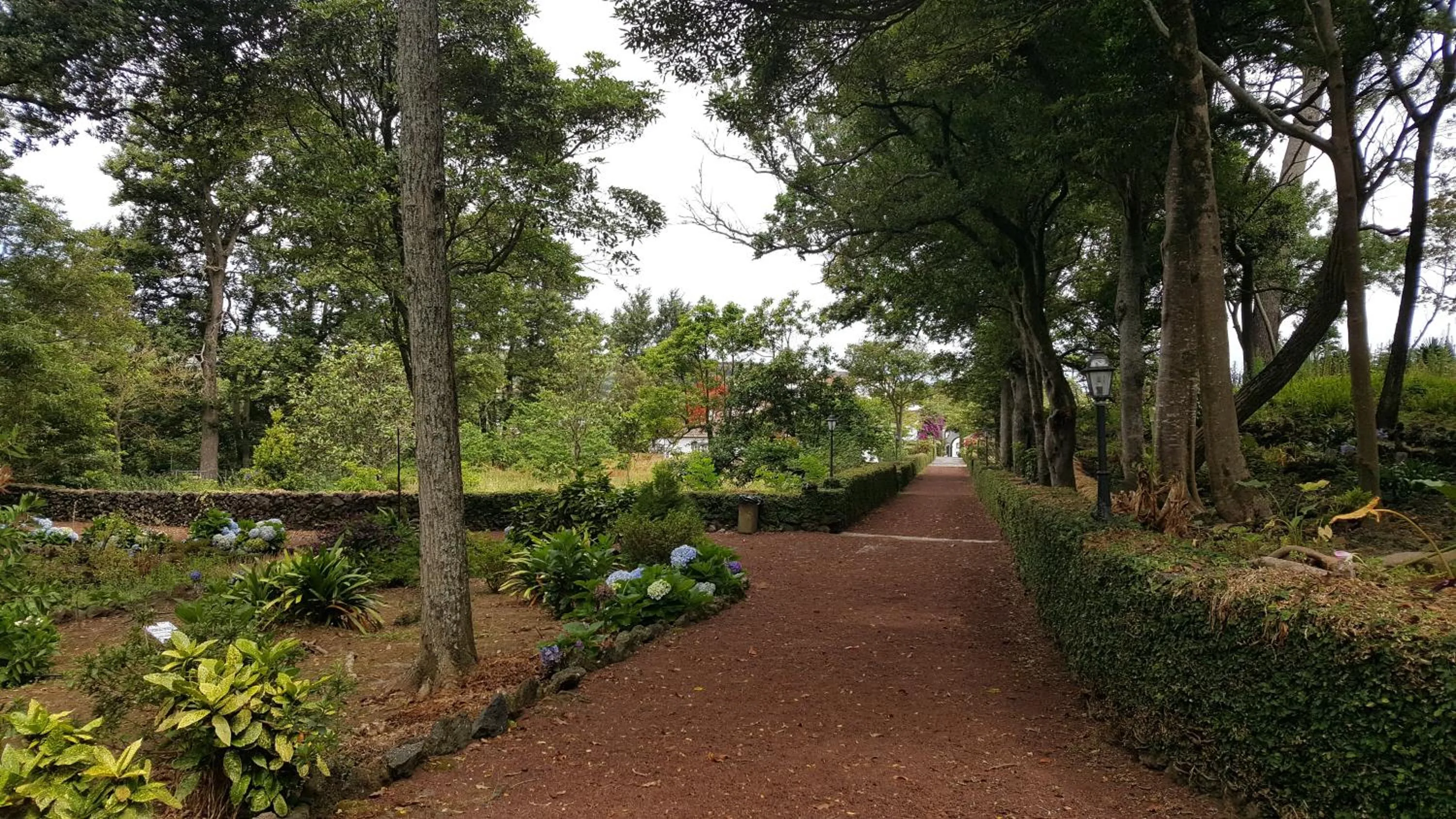 Garden in Solar Do Conde Garden Hotel