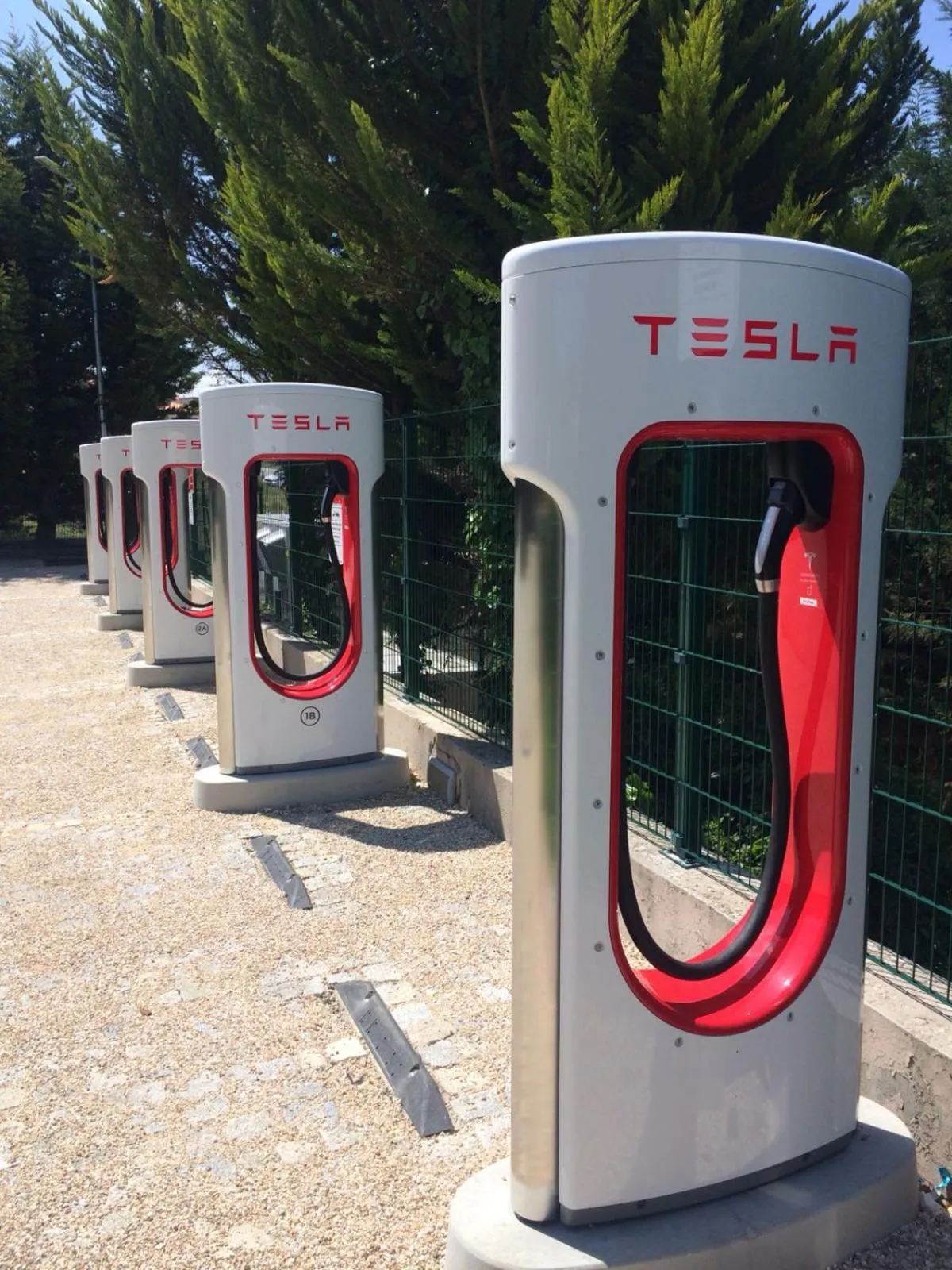 Activities in Hotel Lusitania Congress & Spa