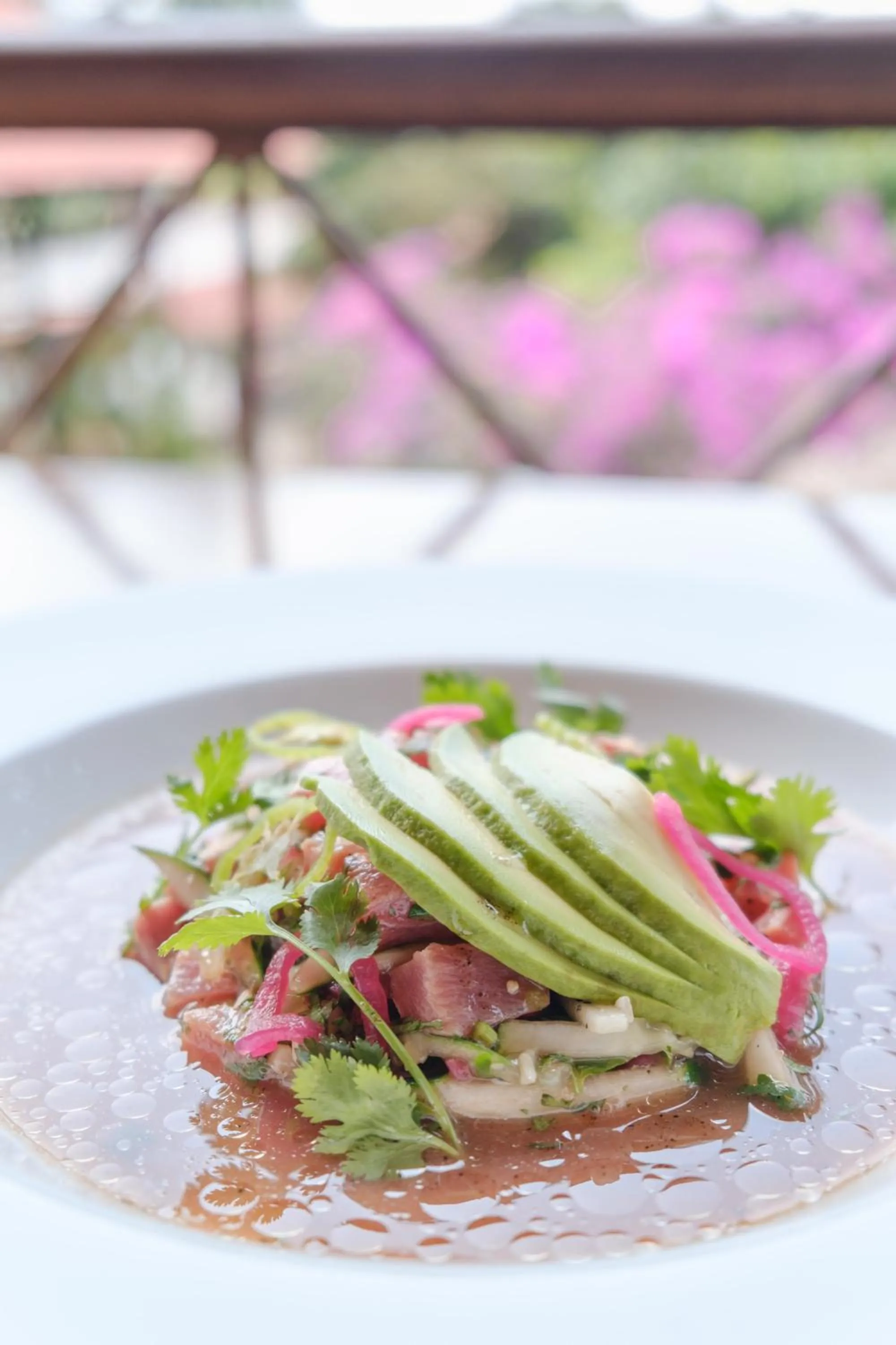 Food in Argovia Ecolodge