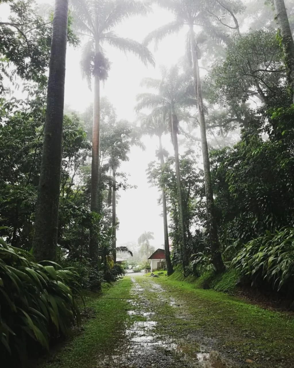 Garden in Argovia Ecolodge