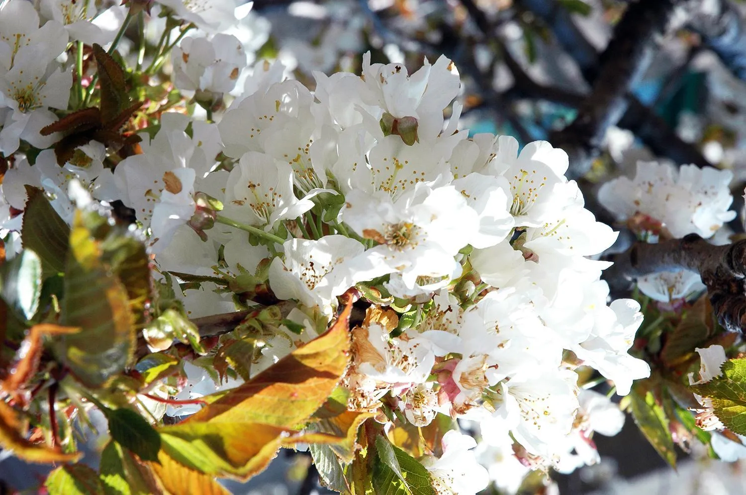 Natural landscape in Il Covo dei Re