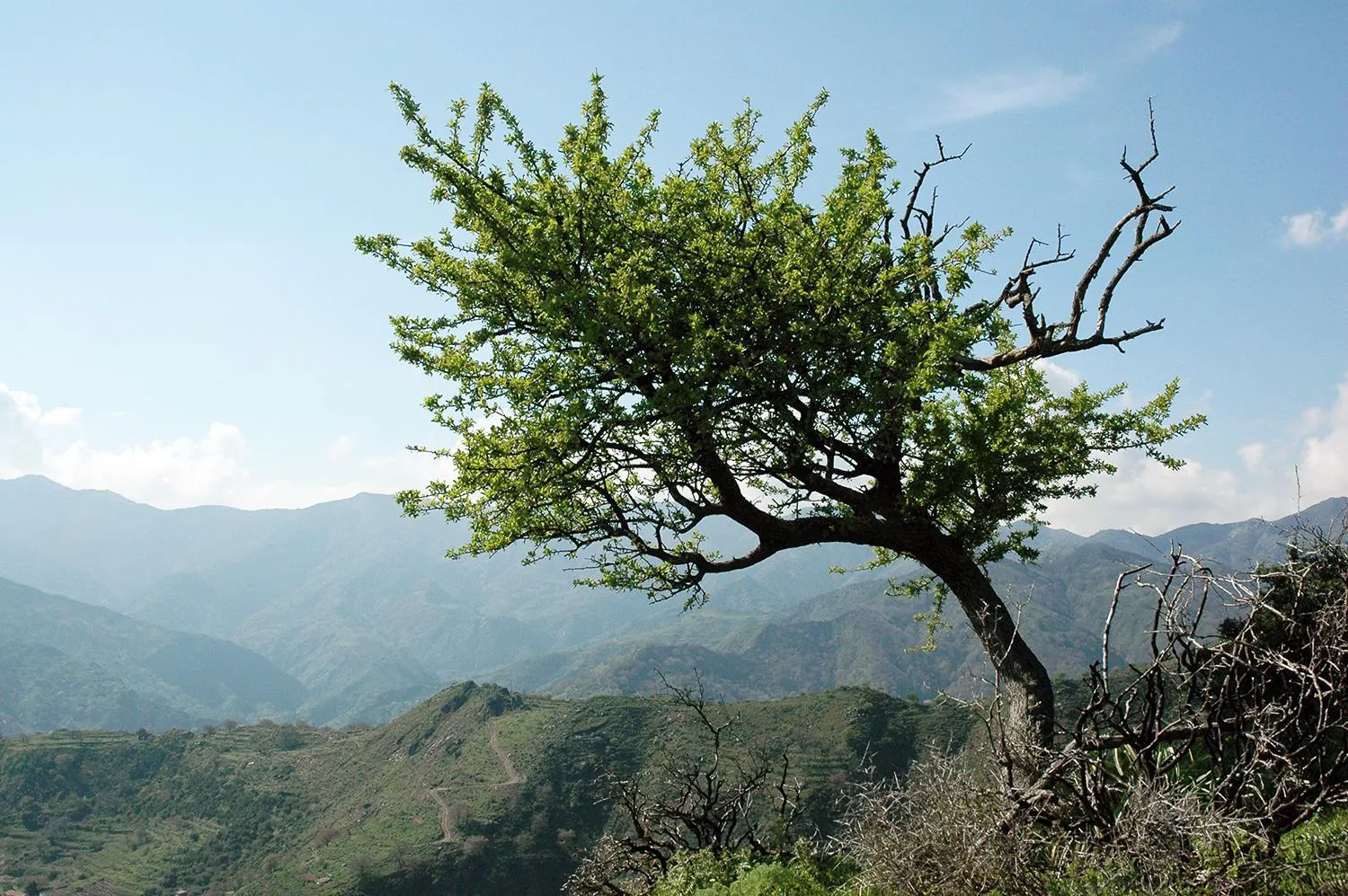 Mountain view in Il Covo dei Re