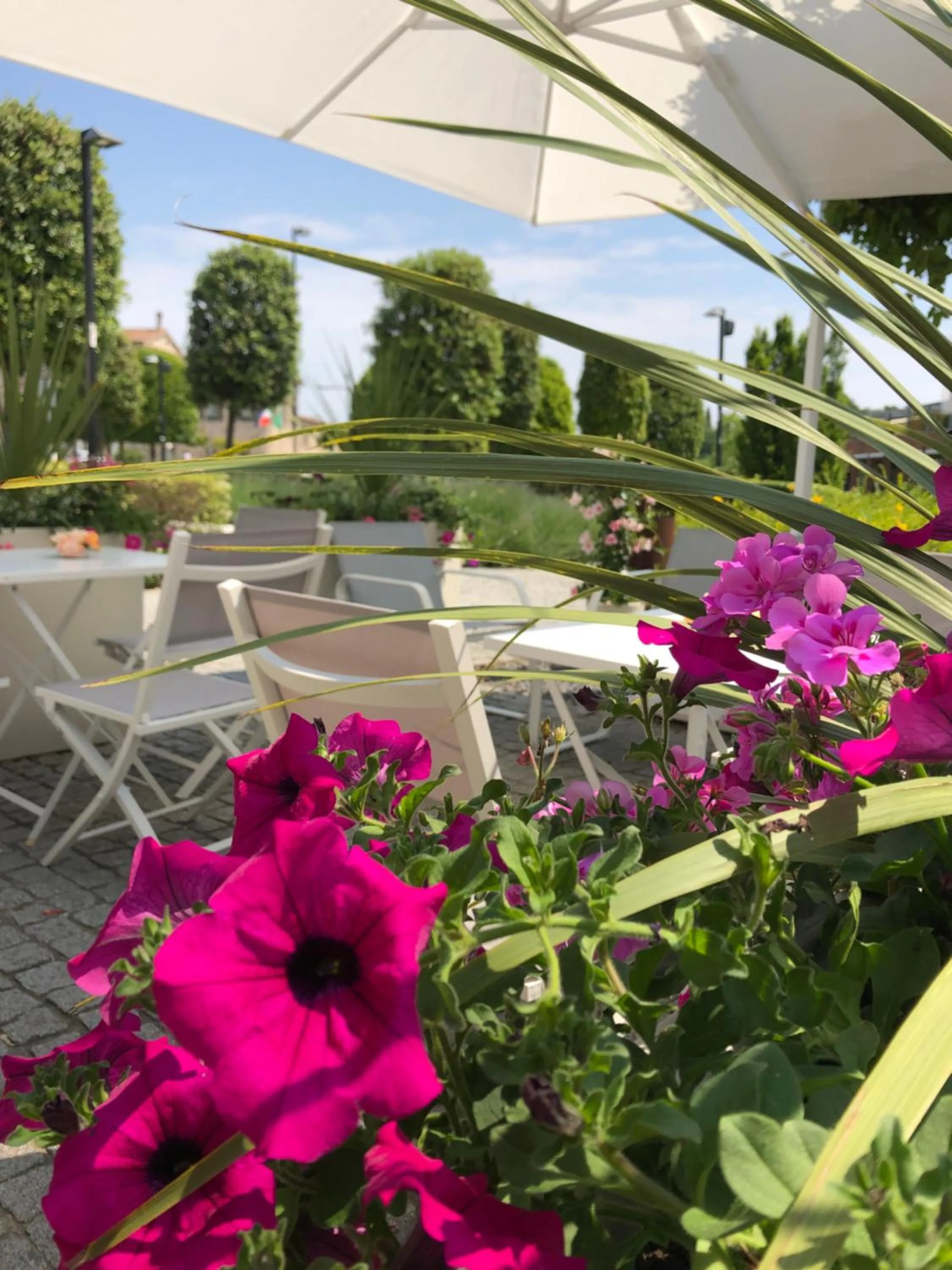 Patio in Apart-Hotel la Rocchetta