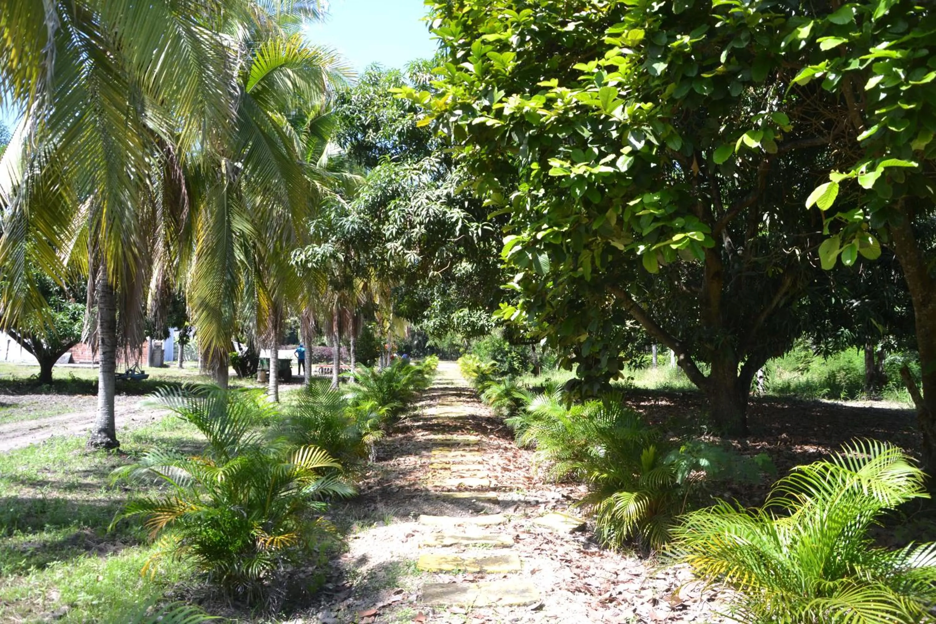 Property building in Hotel Albatros