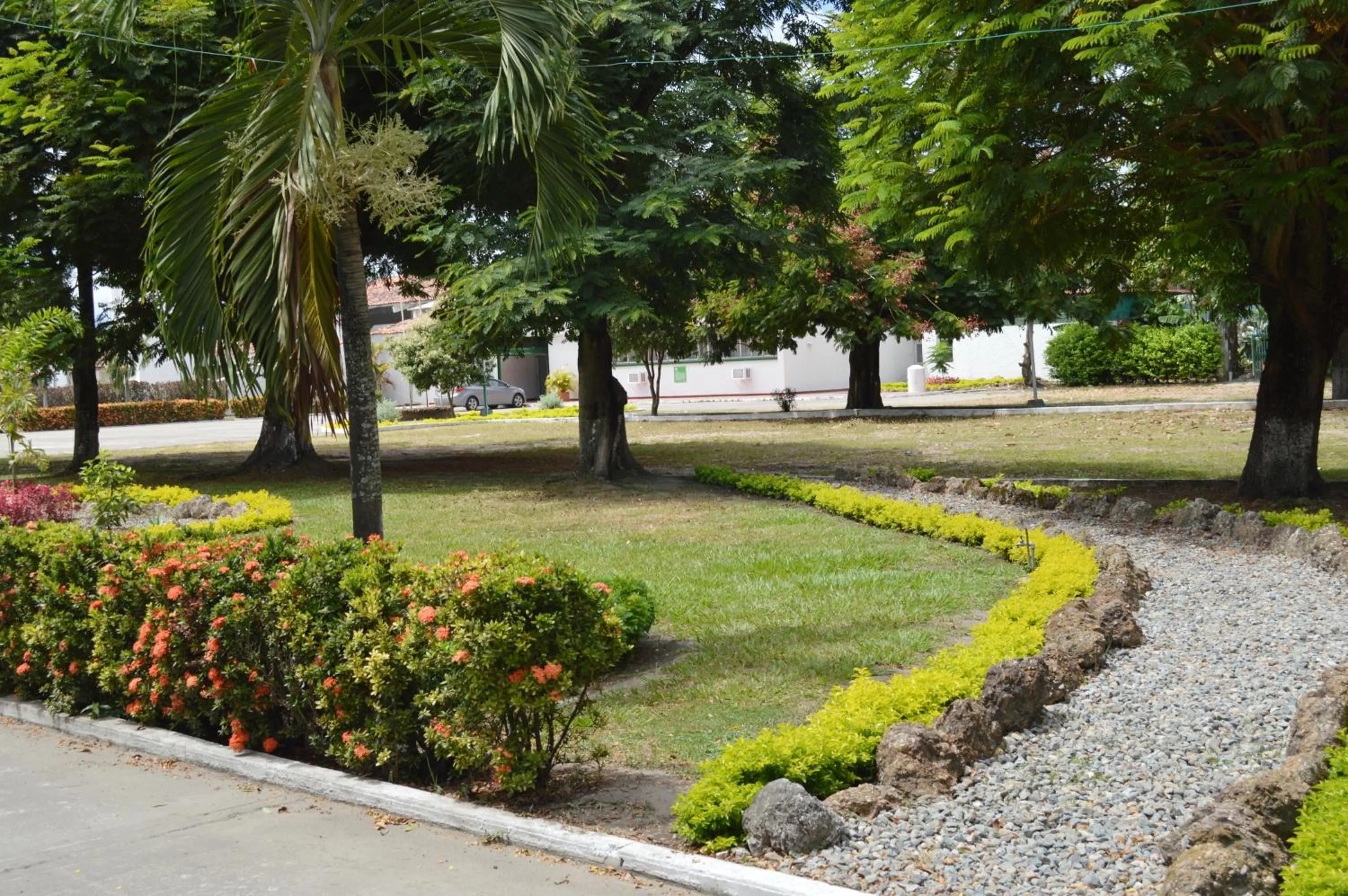 Garden view in Hotel Albatros